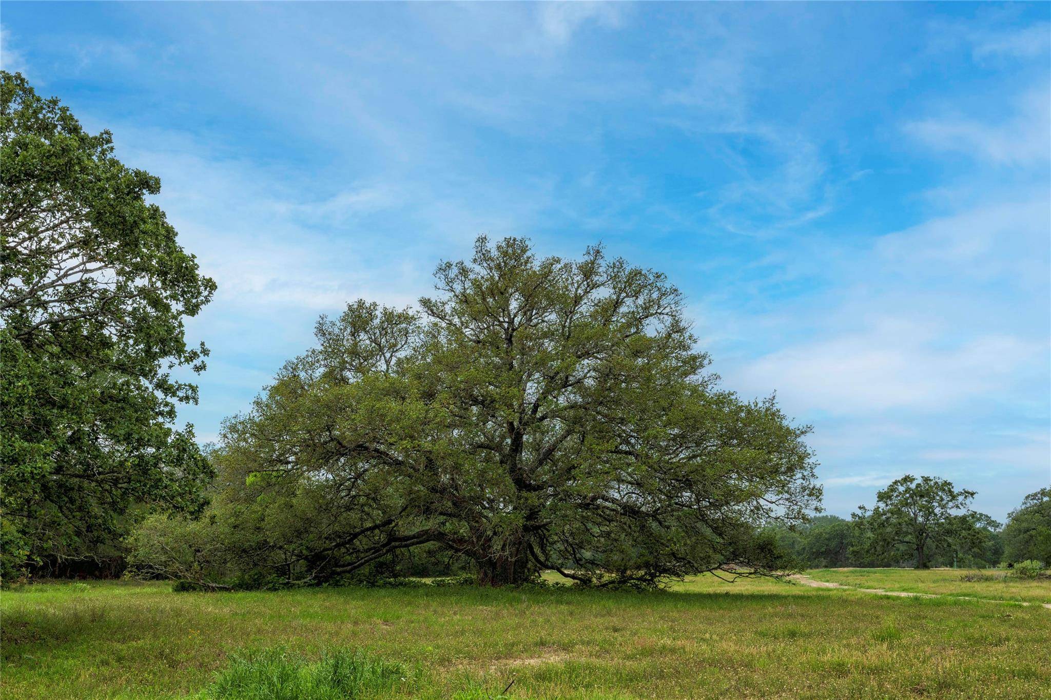 2570 Burke RD, Flatonia, TX 78941