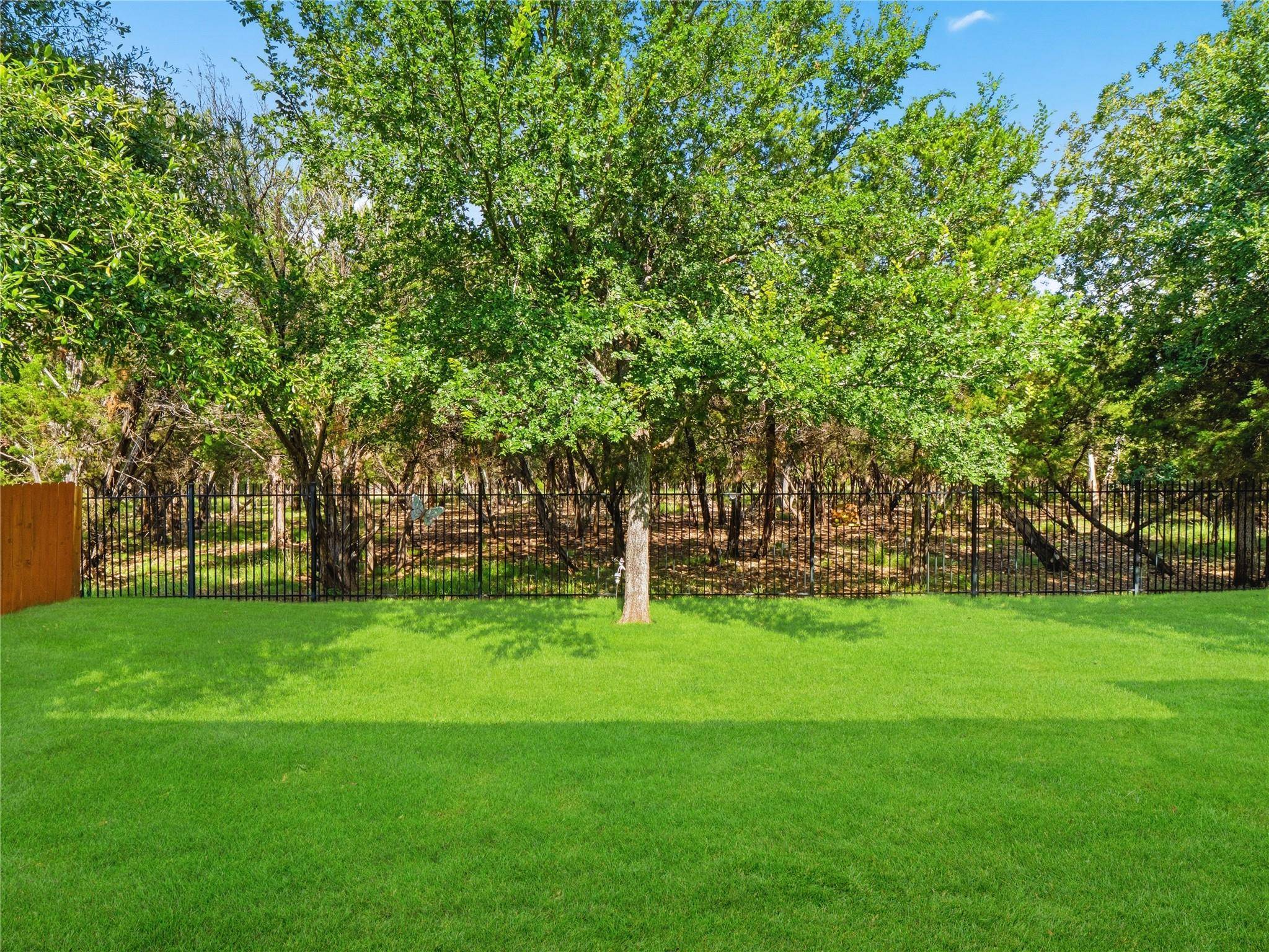 3869 Skyview WAY, Round Rock, TX 78681