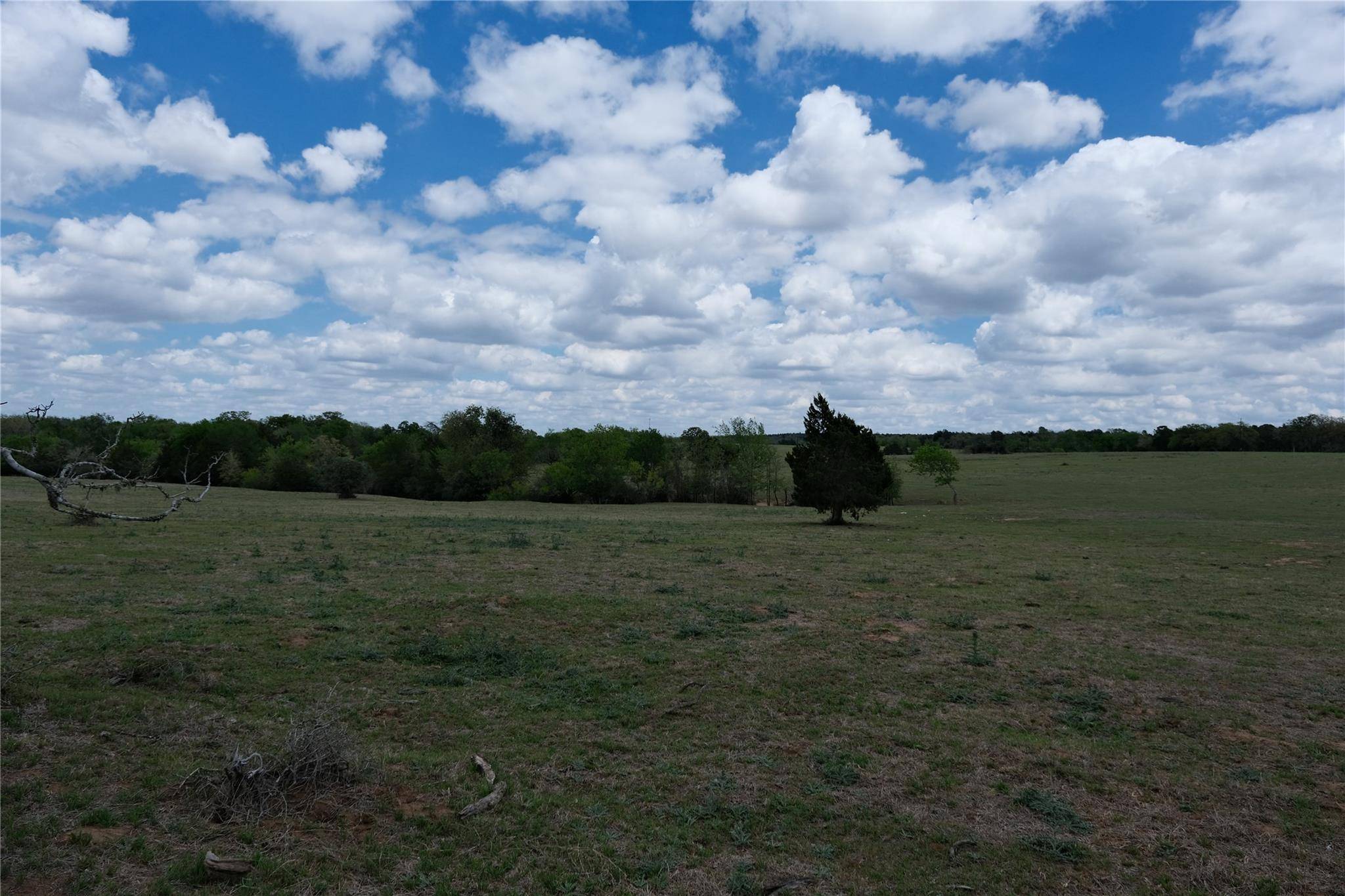 446 Herron TRL, Mcdade, TX 78650