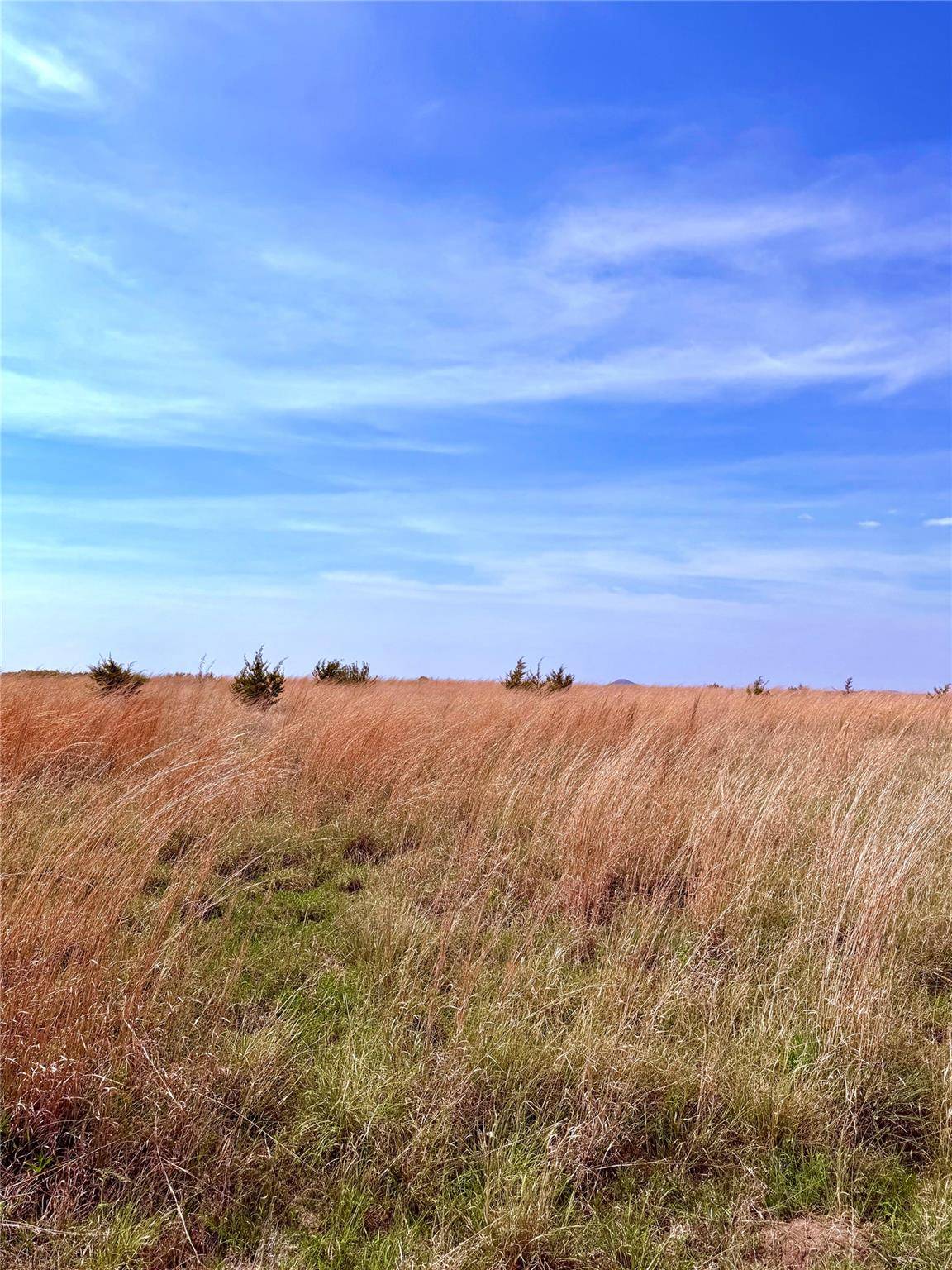 39 county road 330, Goldthwaite, TX 76844
