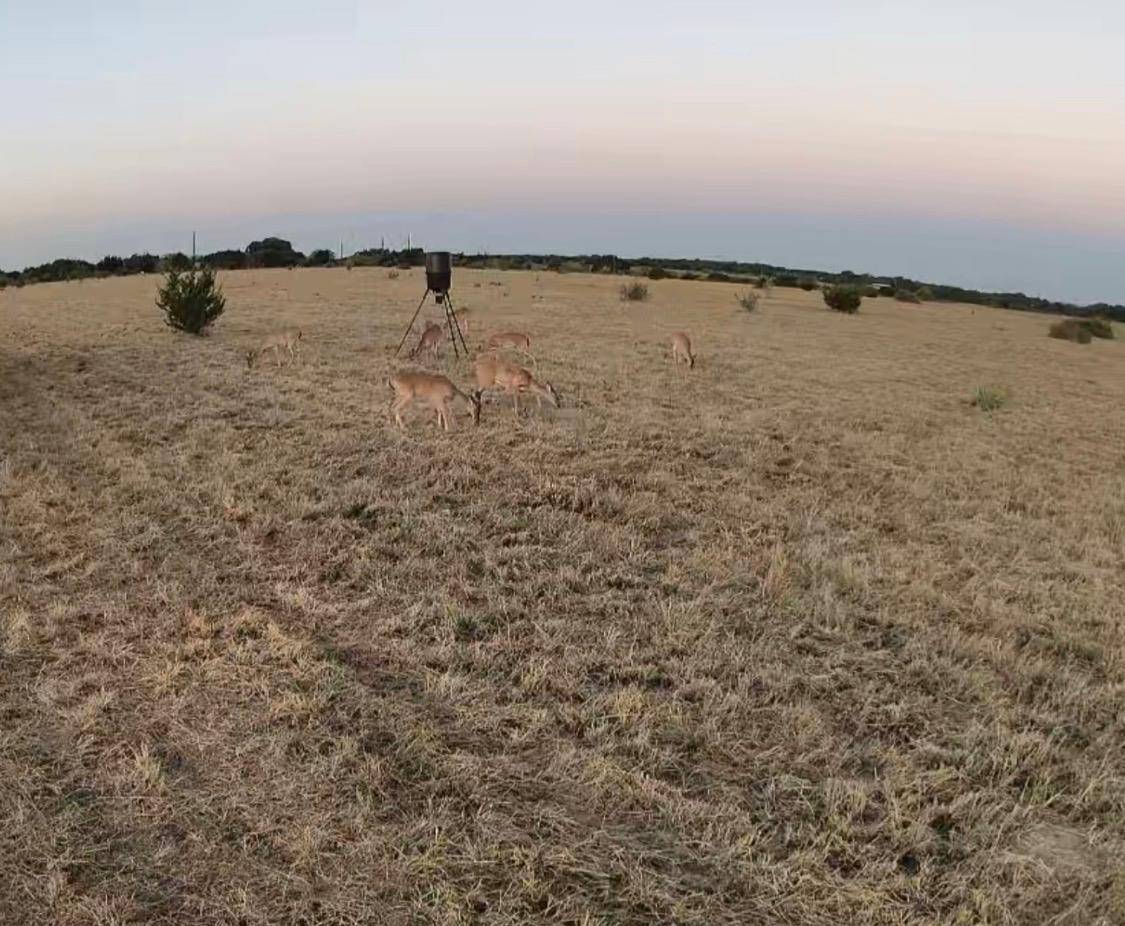 39 county road 330, Goldthwaite, TX 76844