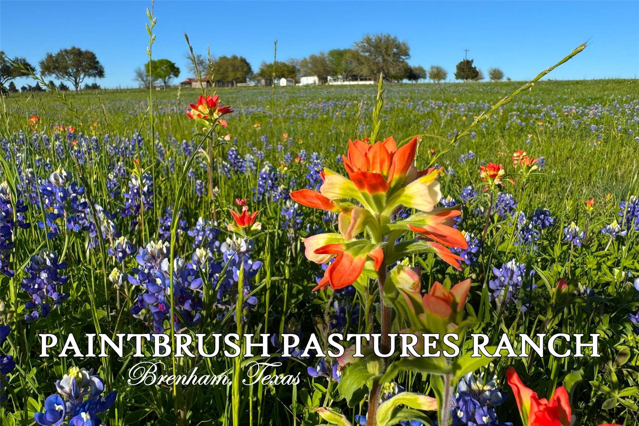 9058 Sam Houston RD, Brenham, TX 77833