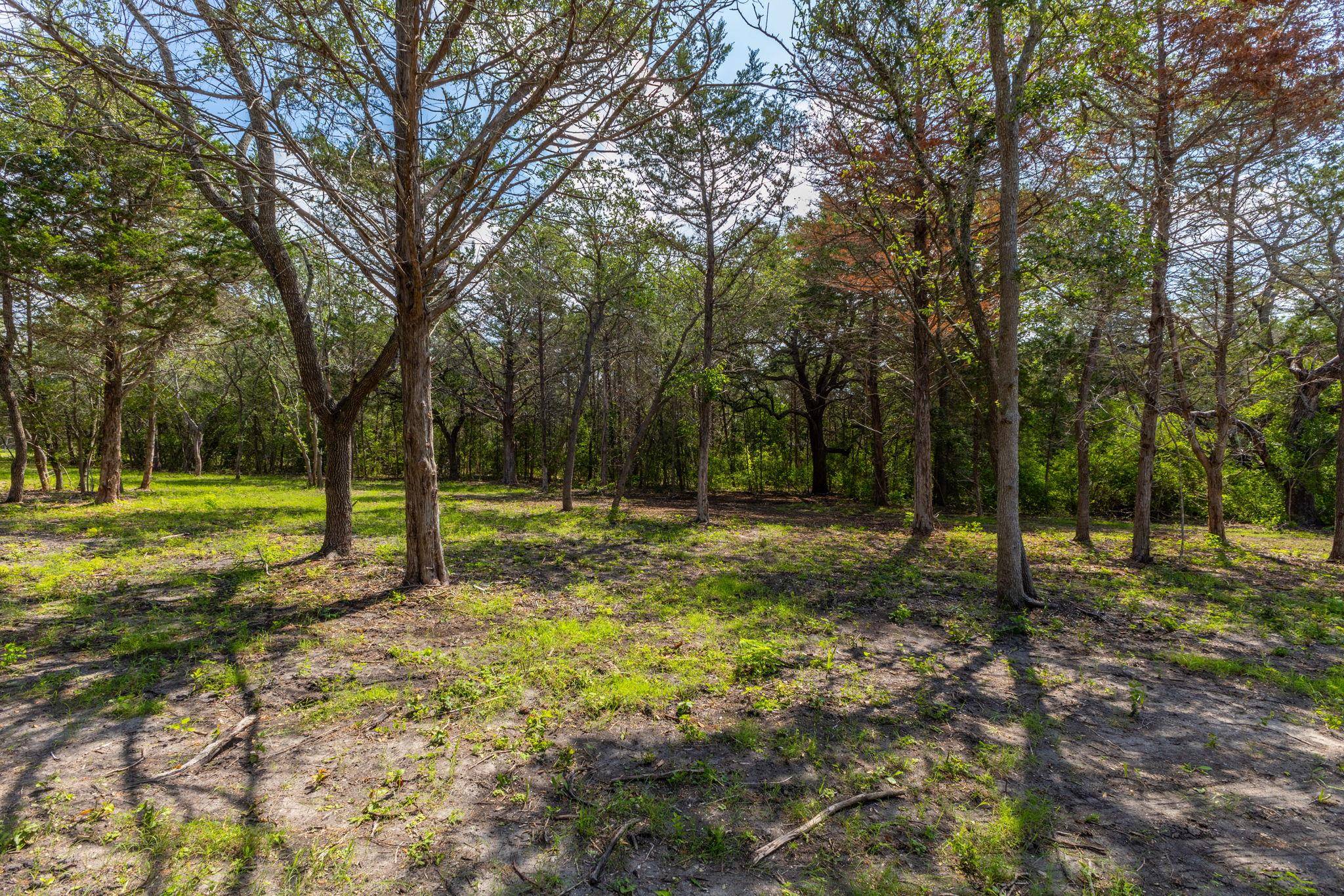 1910 (Tract #1) Baca LOOP, Flatonia, TX 78941