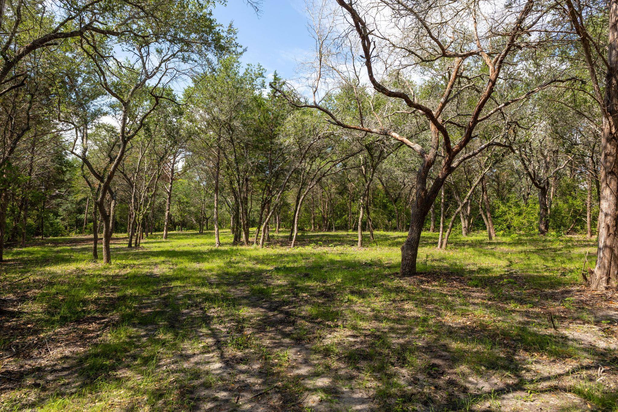 1910 (Tract #1) Baca LOOP, Flatonia, TX 78941