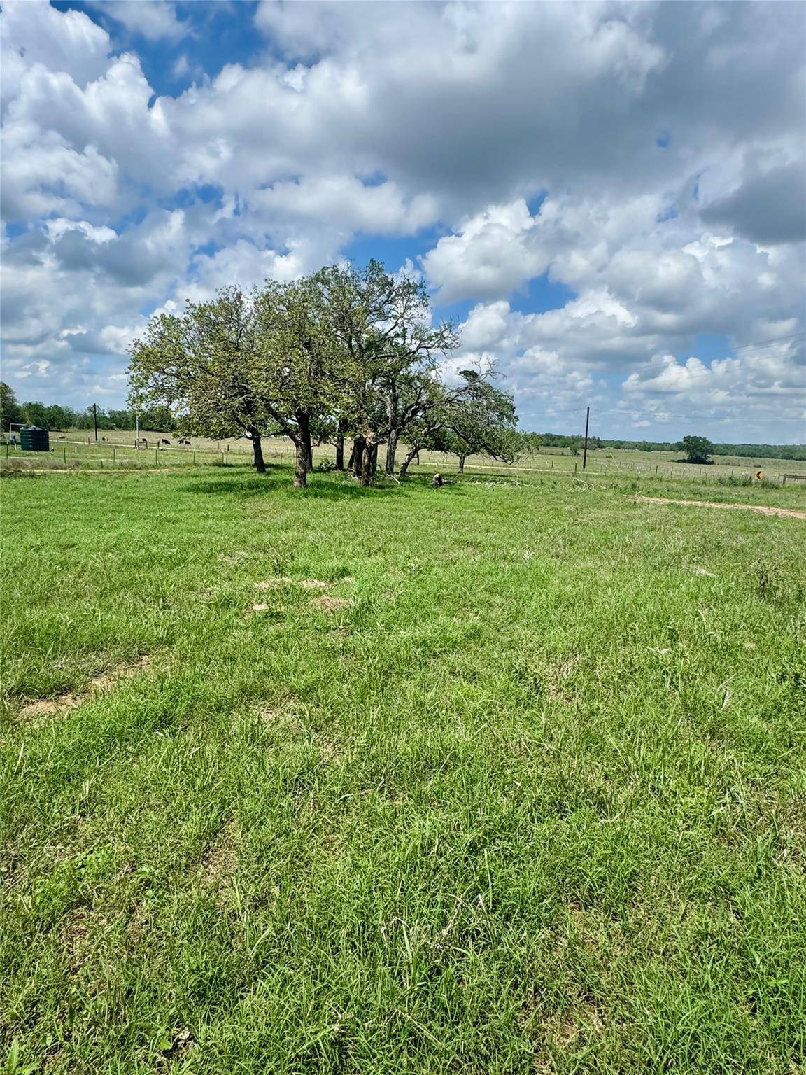 TBD Lot 10 Cardinal RD, Rosanky, TX 78953