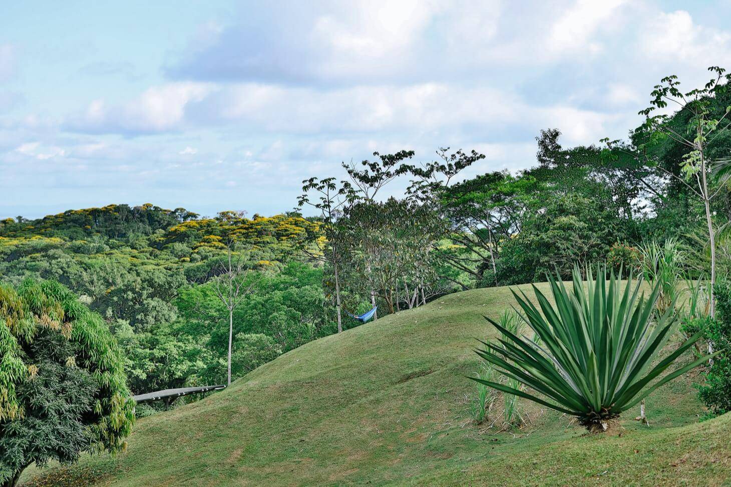 0000 Hidden Gem: A Sustainable Eco Community/Yoga, Out Of State, 60504