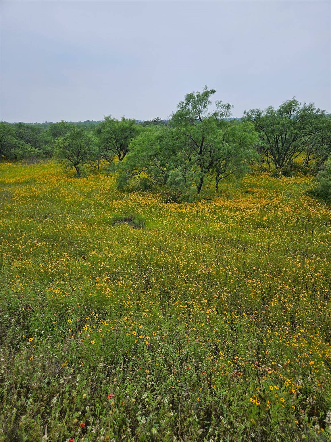 6990 County Road 246, Richland Springs, TX 76871