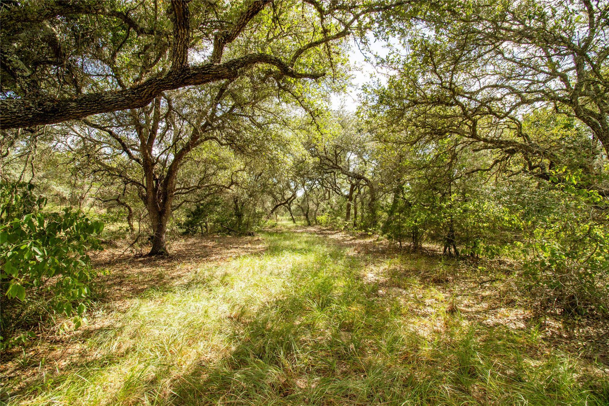 000 County Road 15, Hallettsville, TX 77964