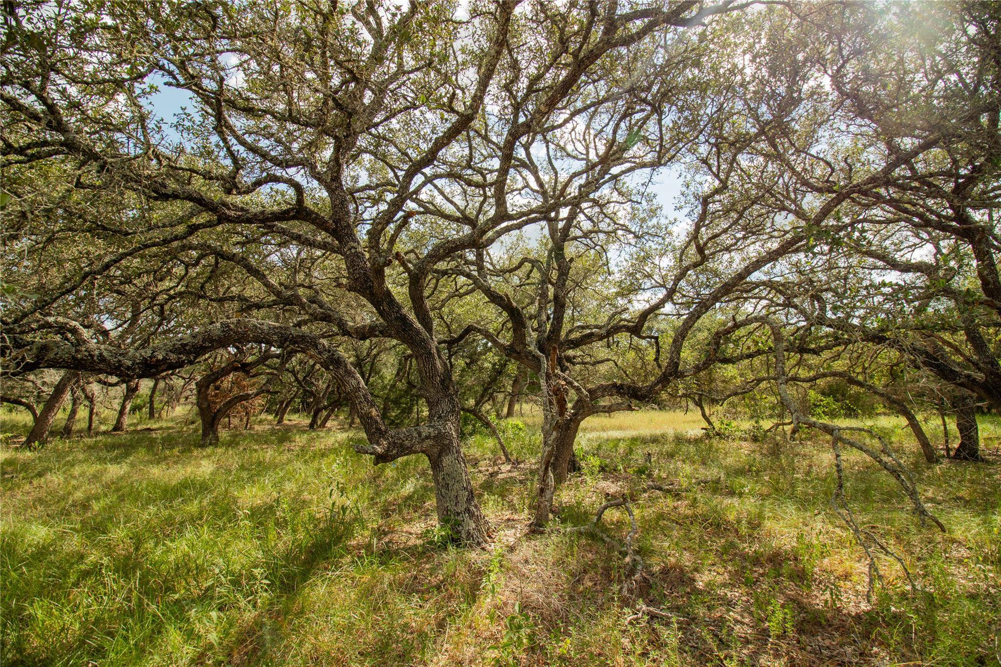 000 County Road 15, Hallettsville, TX 77964