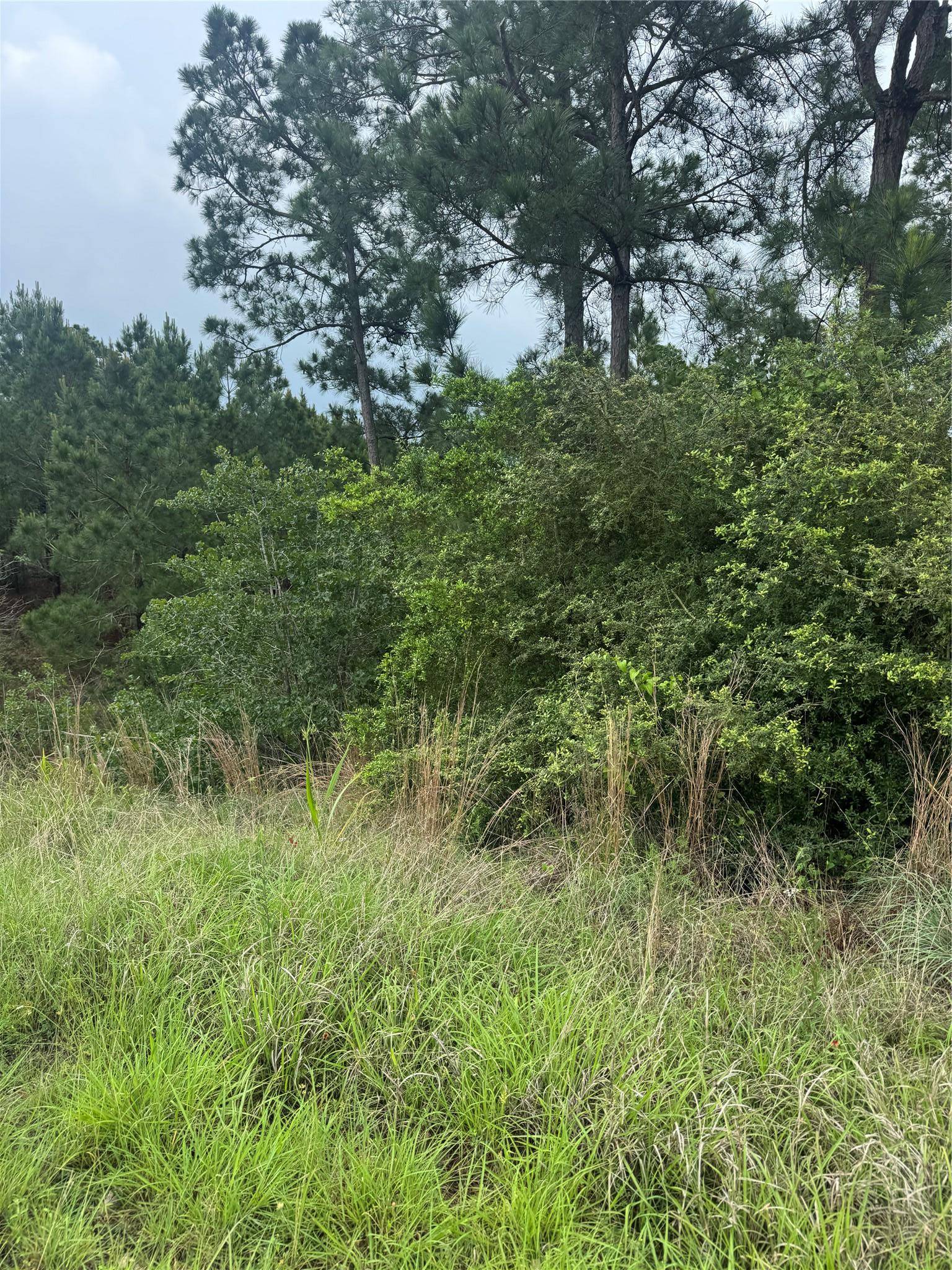 Lot 1614 Kaanapali LN, Bastrop, TX 78602