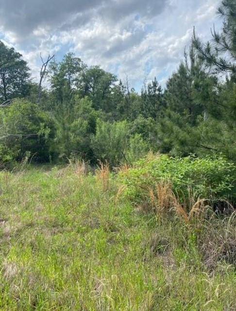 Lot 4 Kainalu LN, Bastrop, TX 78602