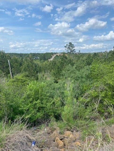 Lot 4 Kainalu LN, Bastrop, TX 78602