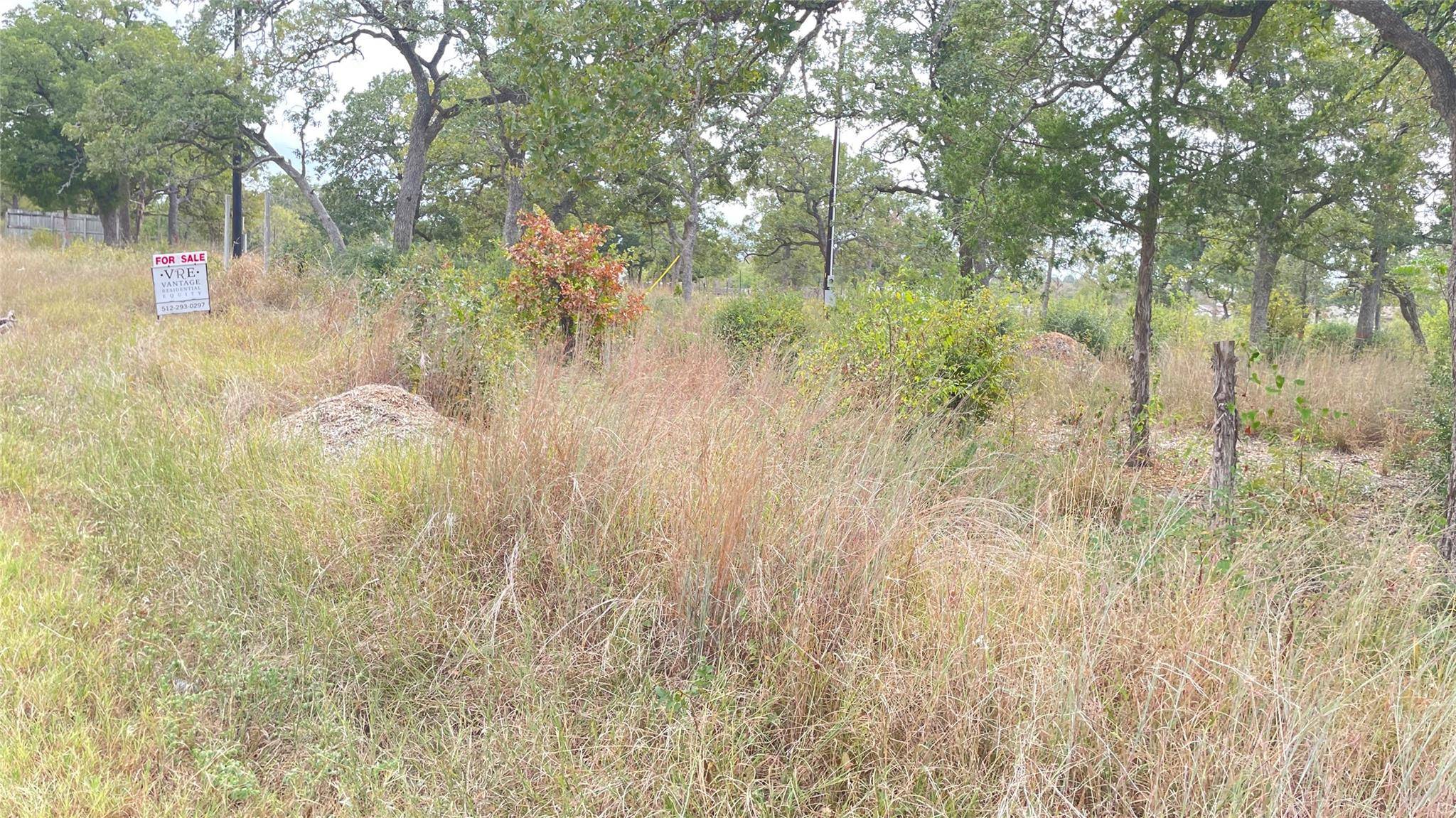 191 Tuck ST, Cedar Creek, TX 78612
