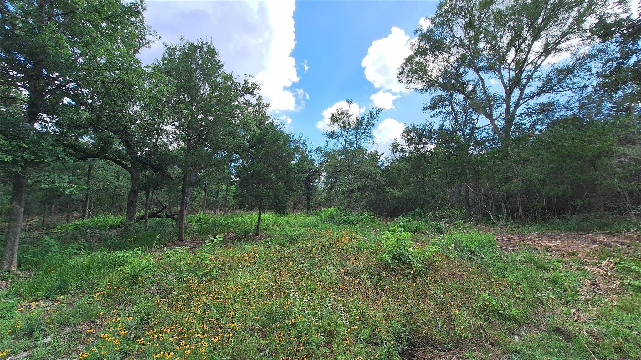 1014 Beaver Lake DR, Caldwell, TX 77836