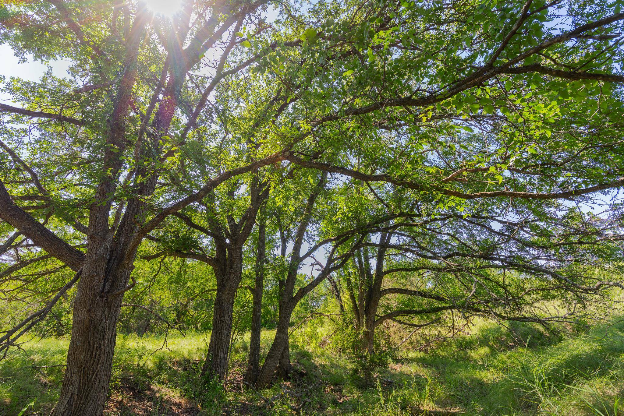 TBD County Road 180 Covered Meadows Ranch RD, Purmela, TX 76566