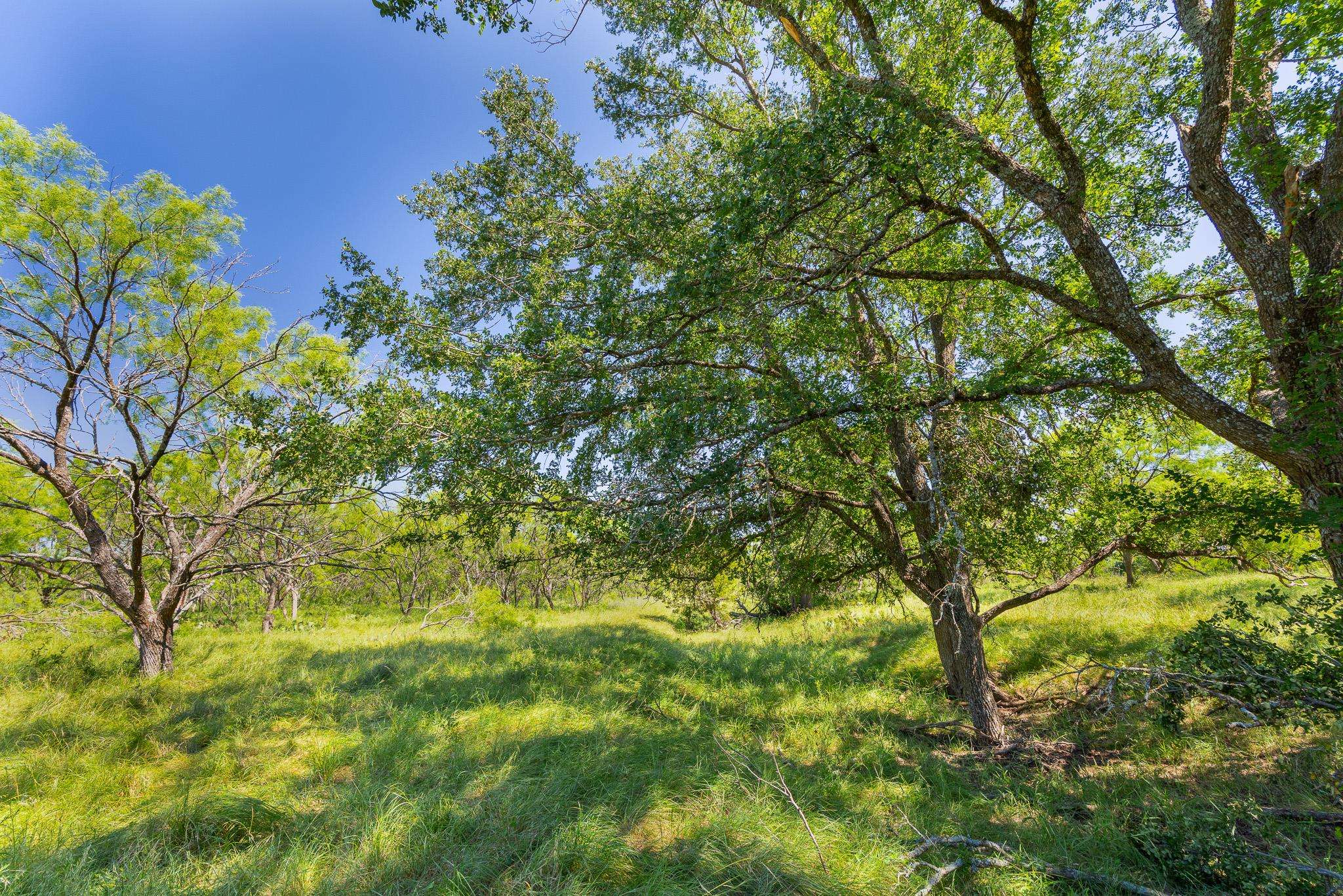 TBD County Road 180 Covered Meadows Ranch RD, Purmela, TX 76566