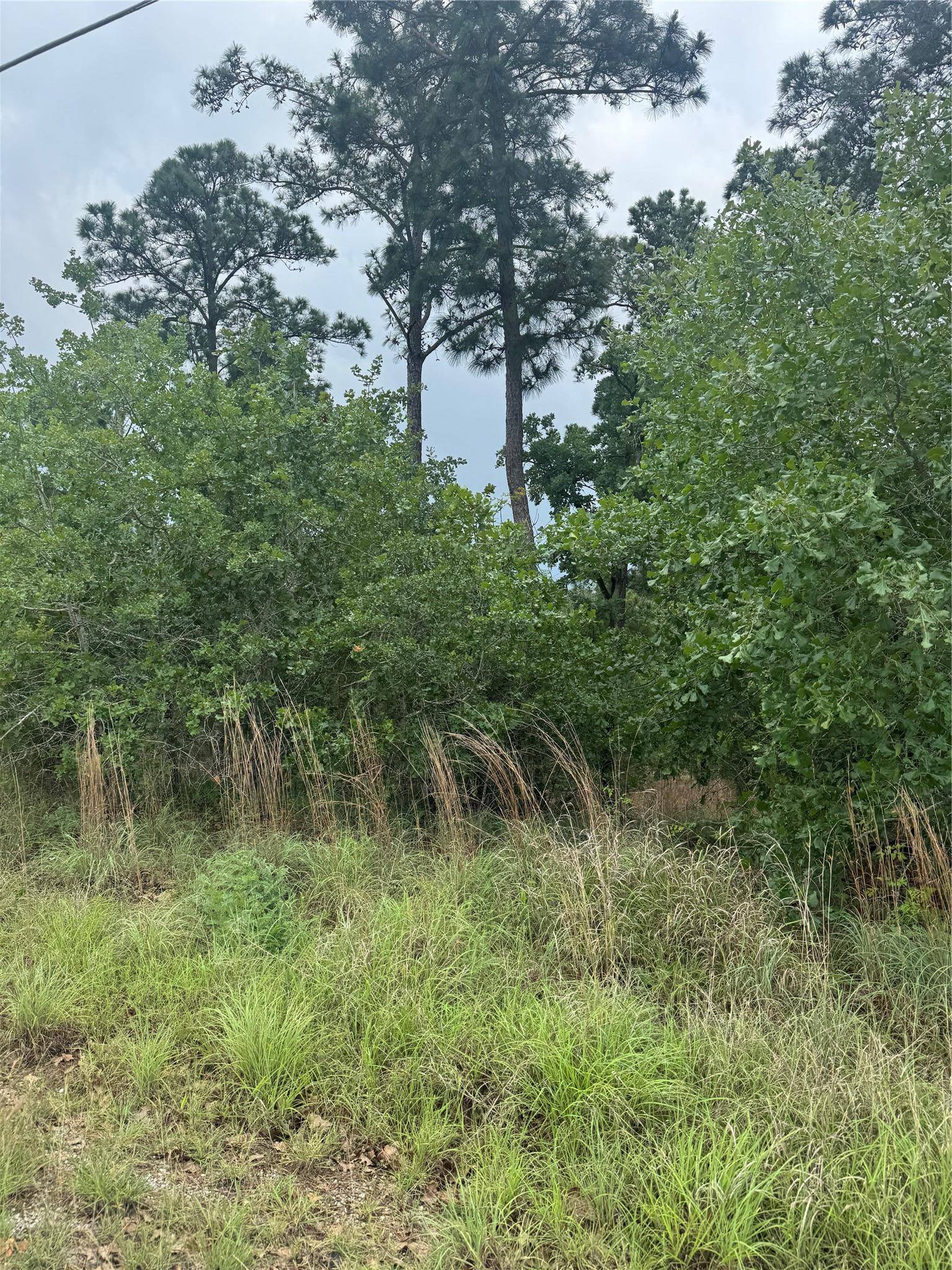 Lot 1612 Kaanapali LN, Bastrop, TX 78602