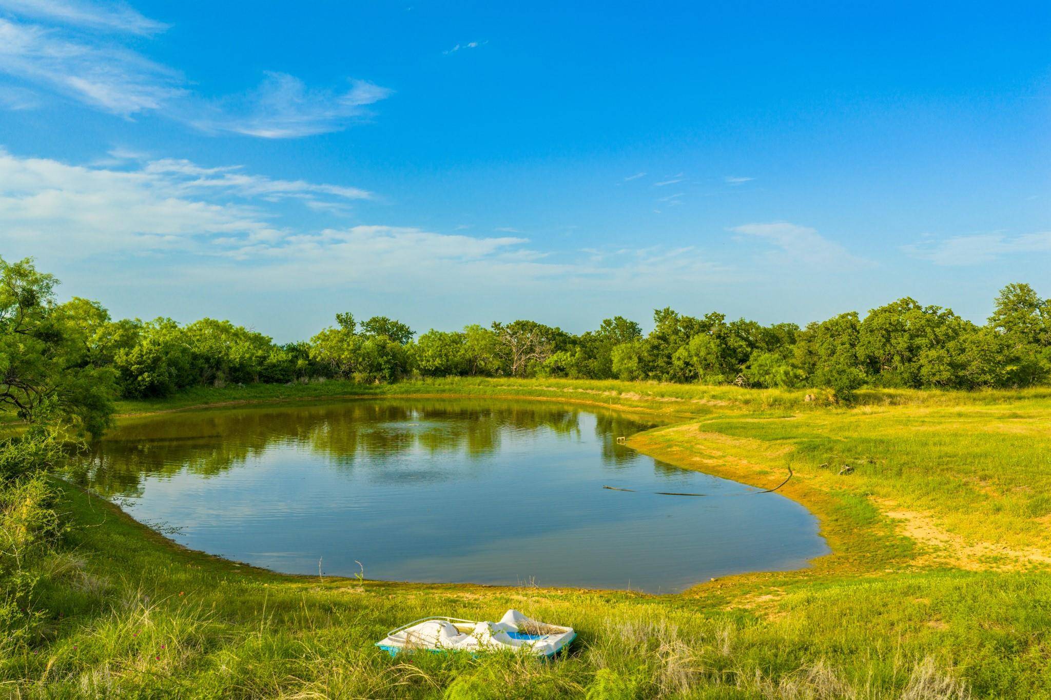11079 Cr 266, Rochelle, TX 76872