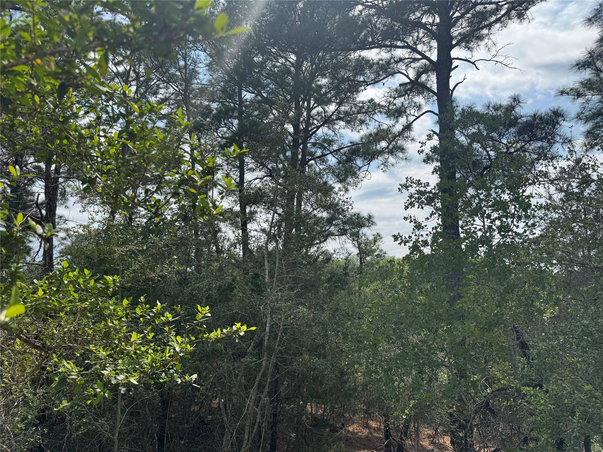 Lots 1263, 1264, 1265 Hanauma DR, Bastrop, TX 78602