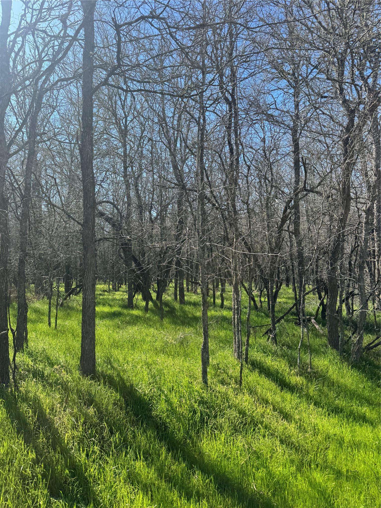 Lots 499 and 500 Kaaawa LN, Bastrop, TX 78602
