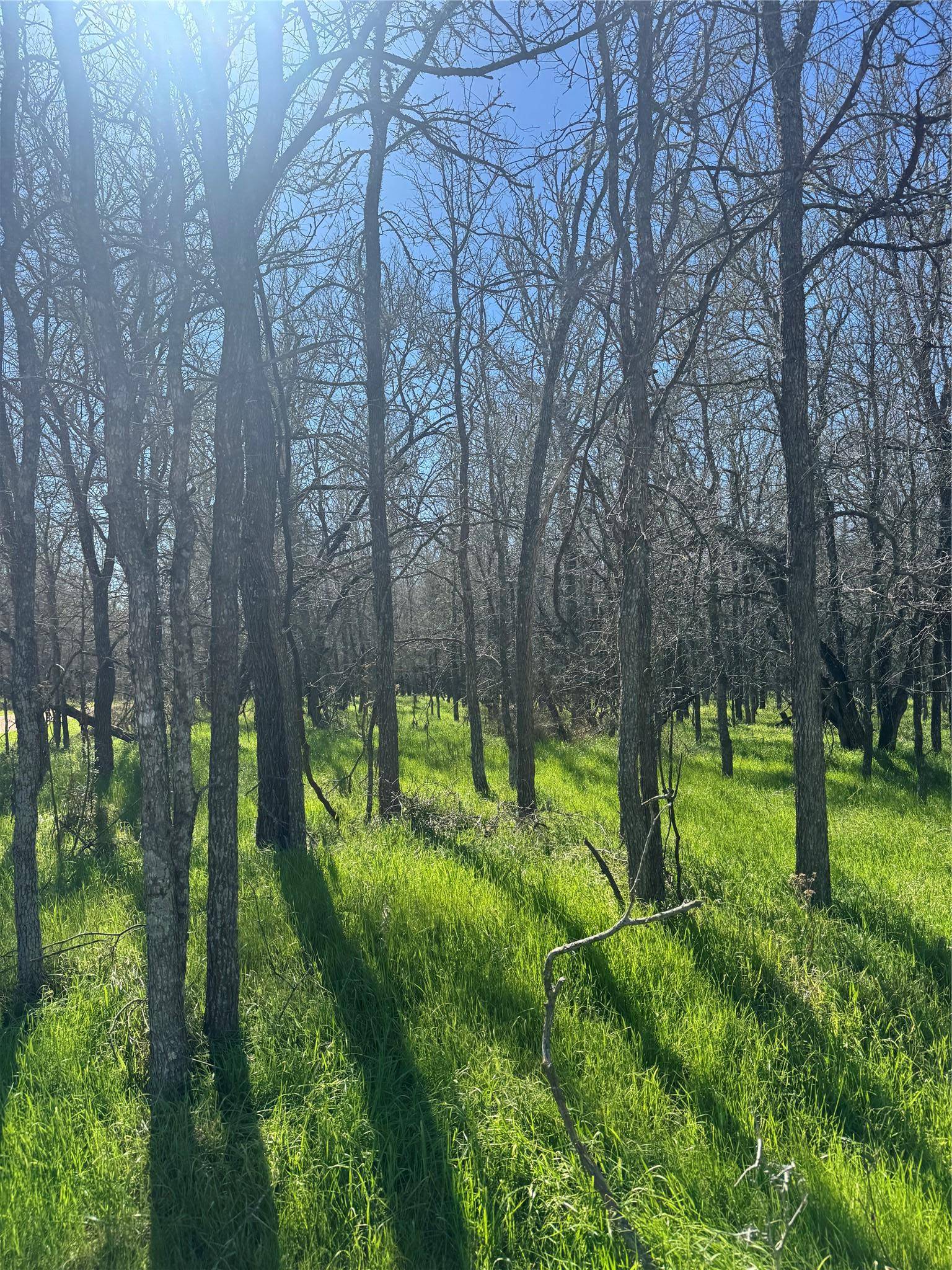 Lots 499 and 500 Kaaawa LN, Bastrop, TX 78602