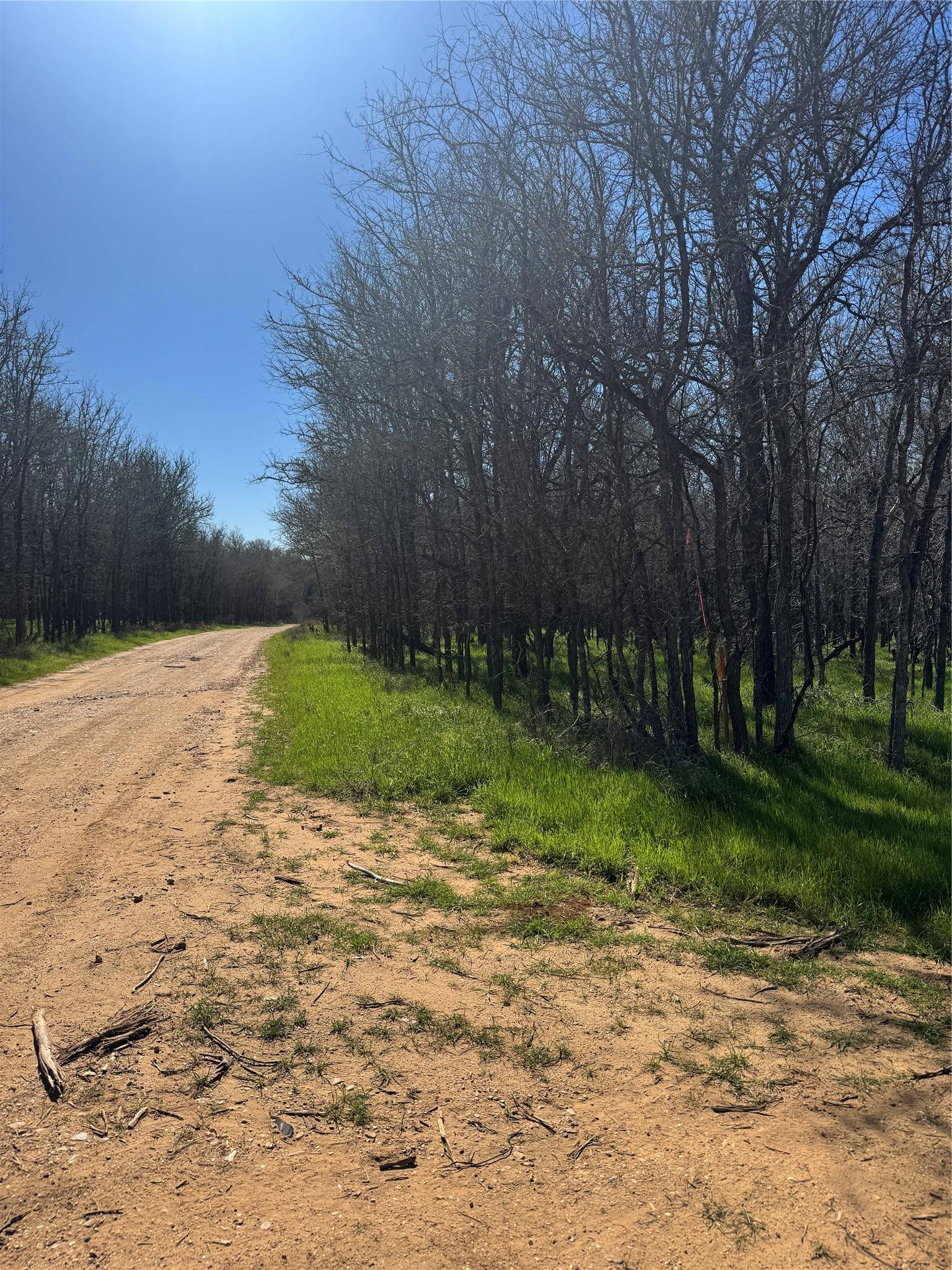 Lots 499 and 500 Kaaawa LN, Bastrop, TX 78602