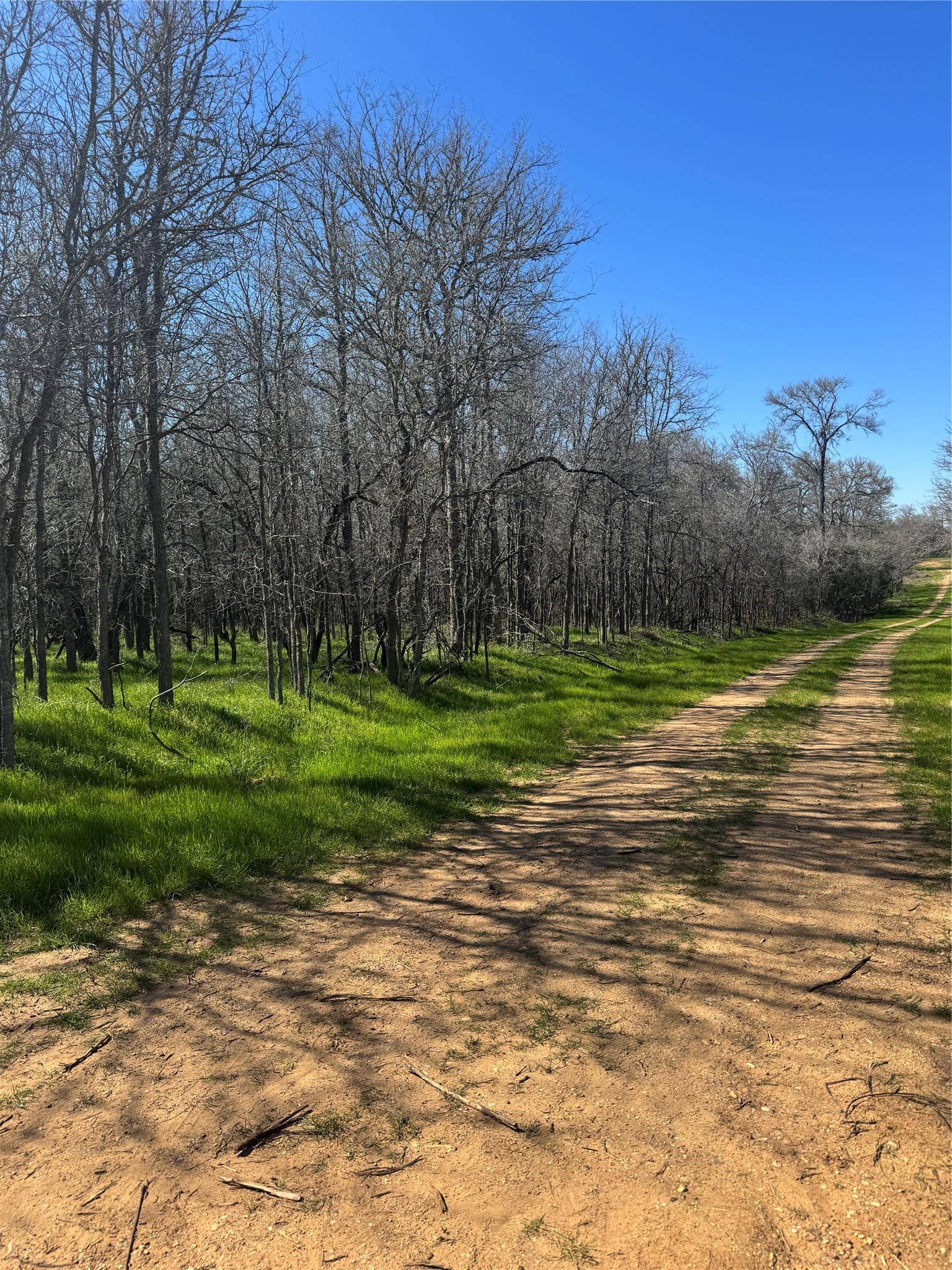 Lots 499 and 500 Kaaawa LN, Bastrop, TX 78602