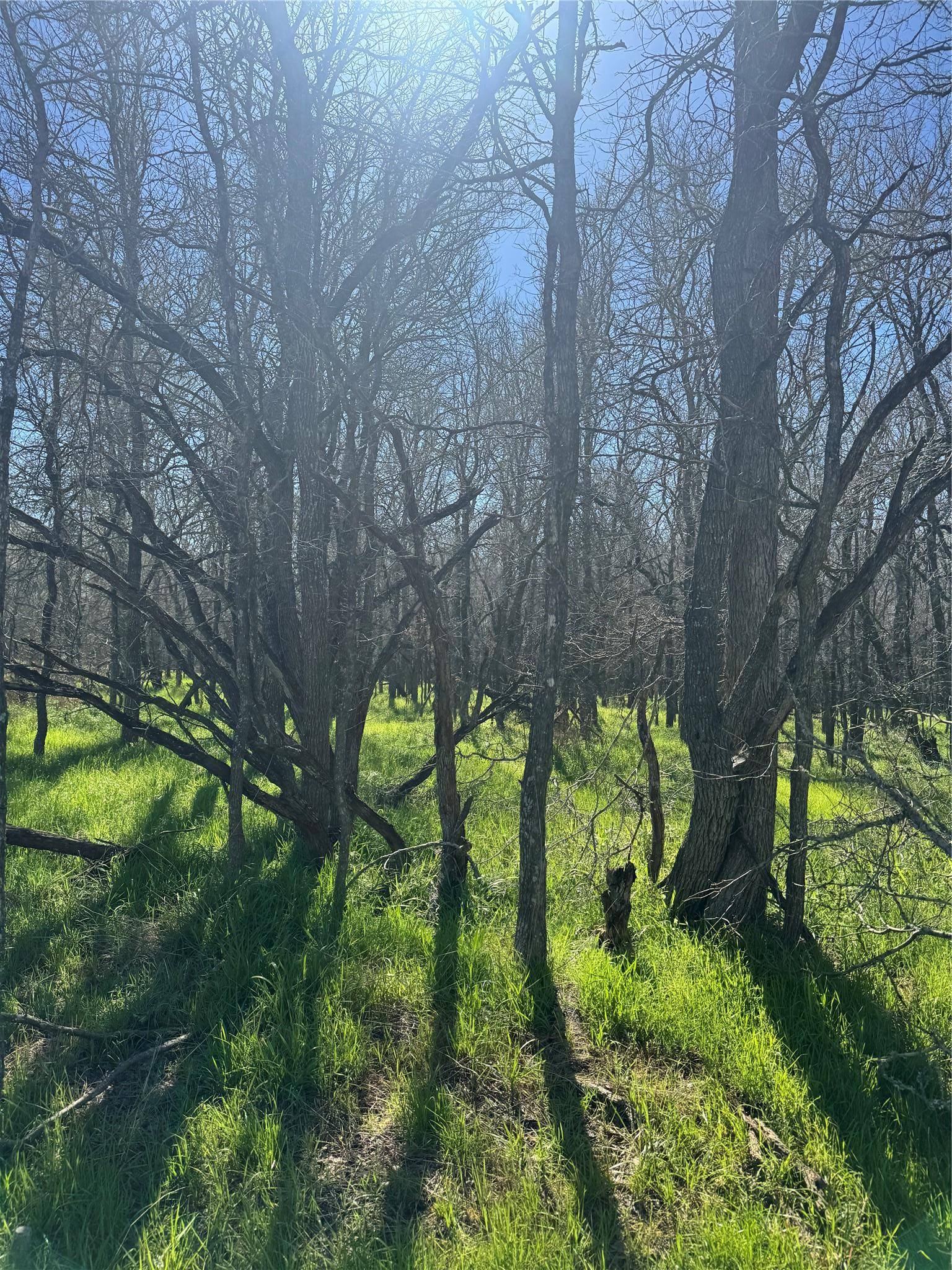 Lots 499 and 500 Kaaawa LN, Bastrop, TX 78602