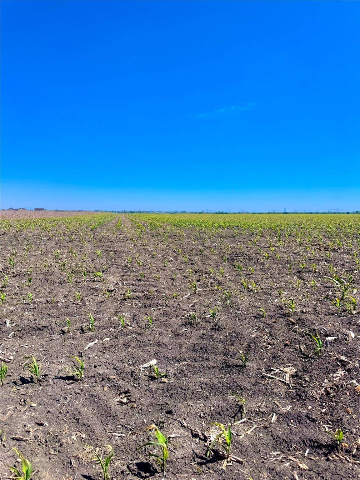 TBD Tract 4 Lund Carlson RD, Coupland, TX 78615