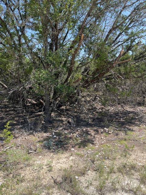 TBD CR 2644, Lometa, TX 76853