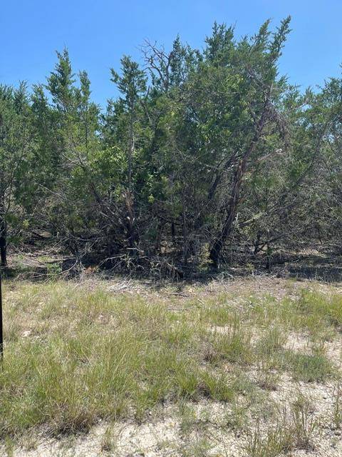 TBD CR 2644, Lometa, TX 76853