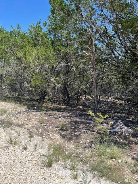 TBD CR 2644, Lometa, TX 76853