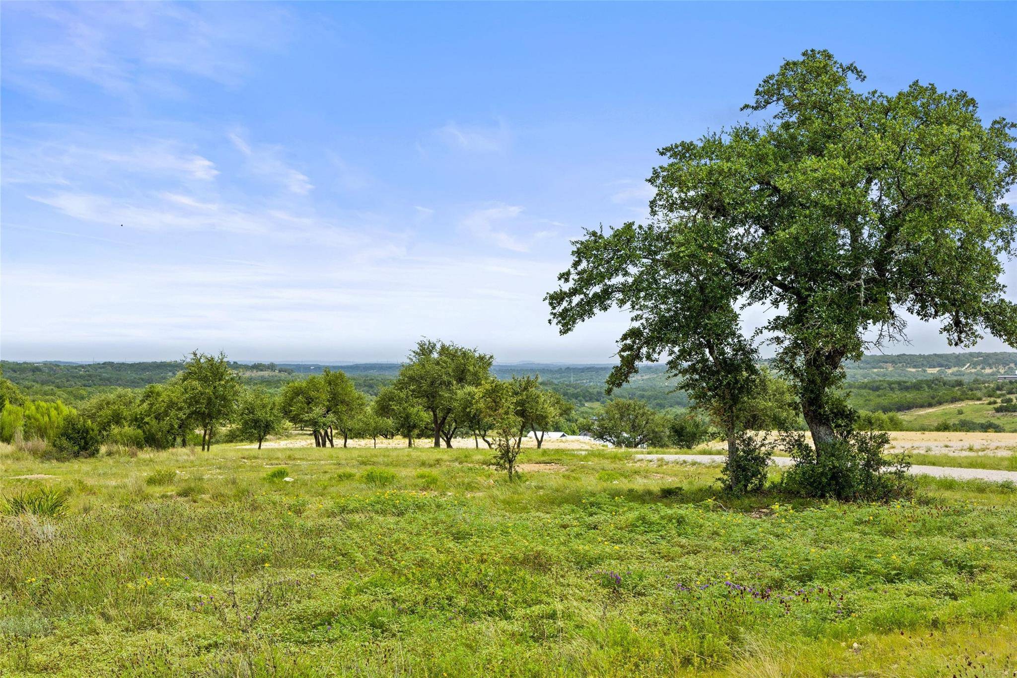 195 Lilly Belle WAY, Johnson City, TX 78636