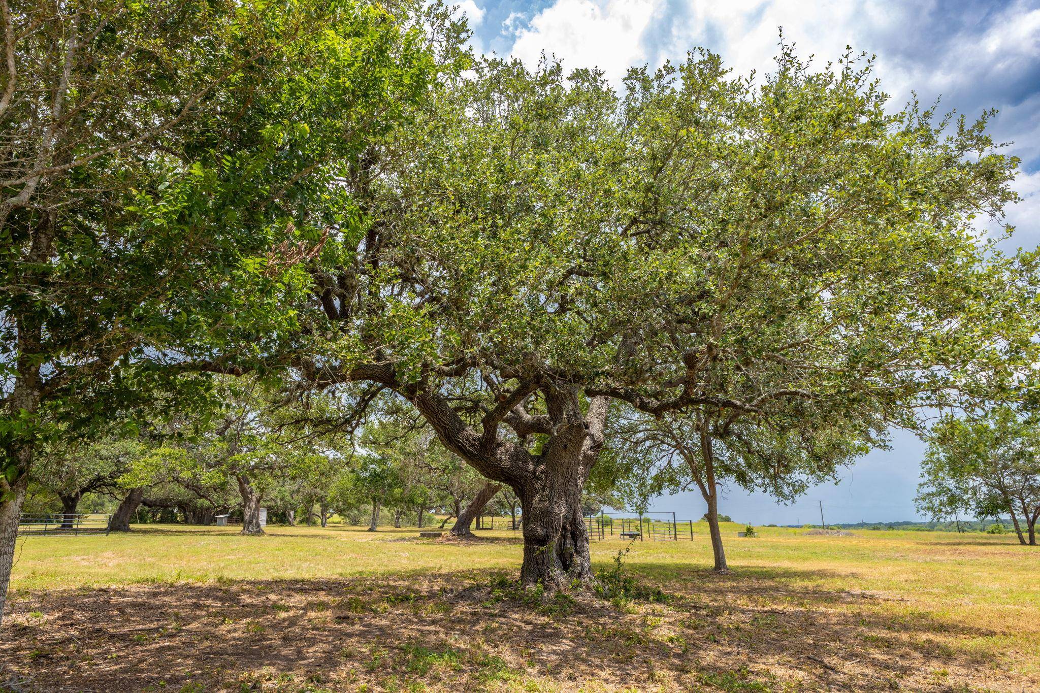 2160 (Tract #5) Baca LOOP, Flatonia, TX 78941