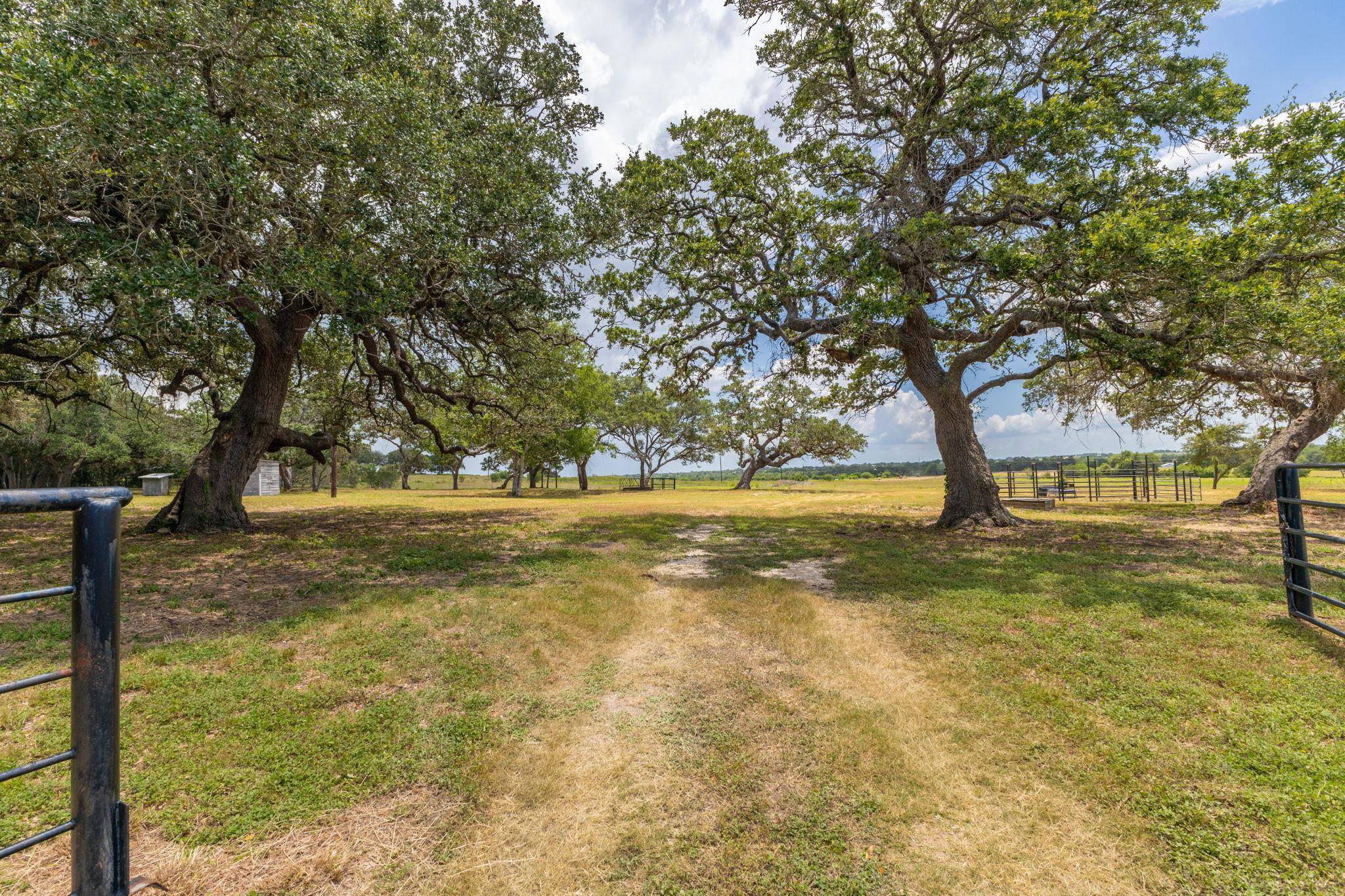 2160 (Tract #5) Baca LOOP, Flatonia, TX 78941