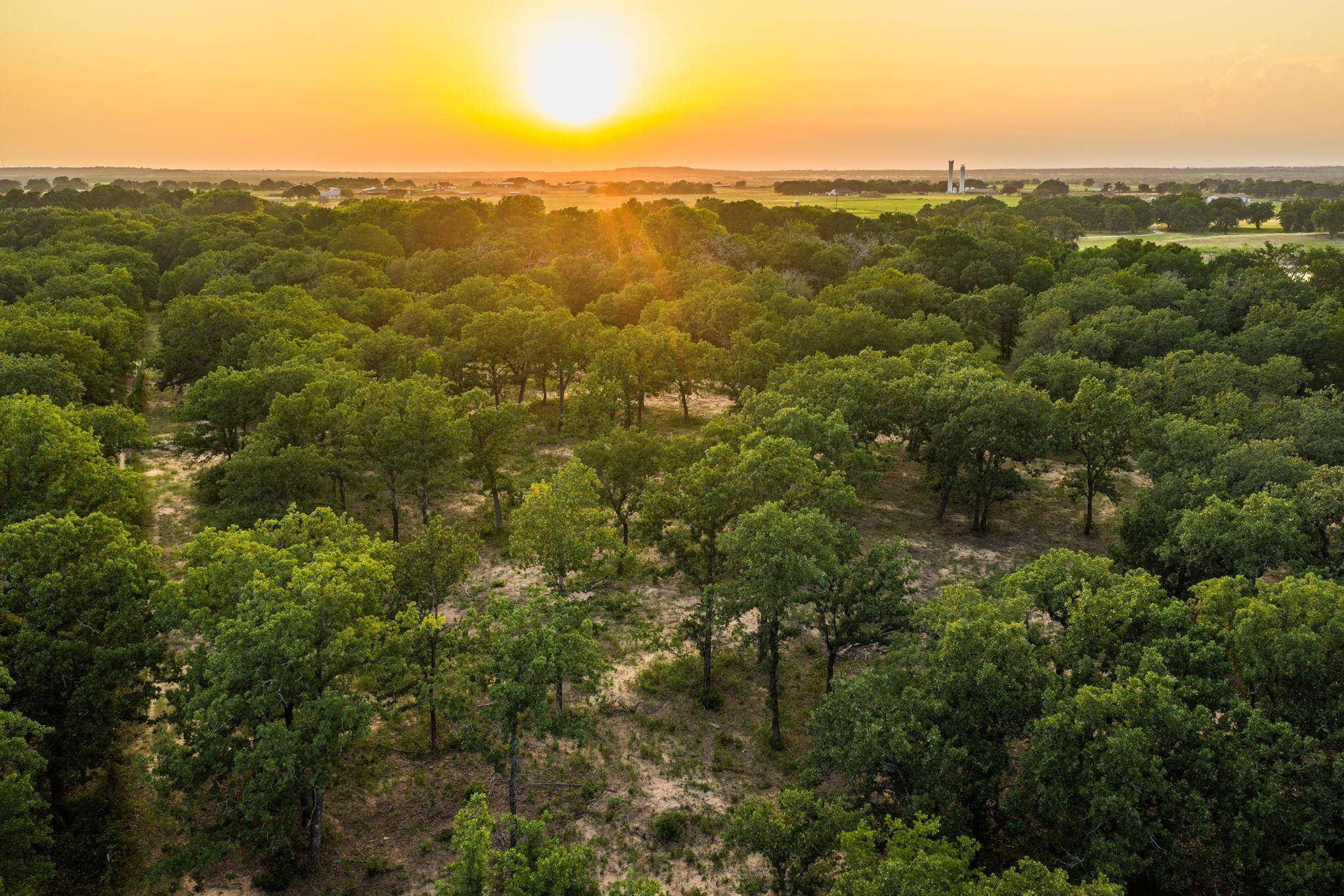 8606 Star Hollow RD, Lipan, TX 76462