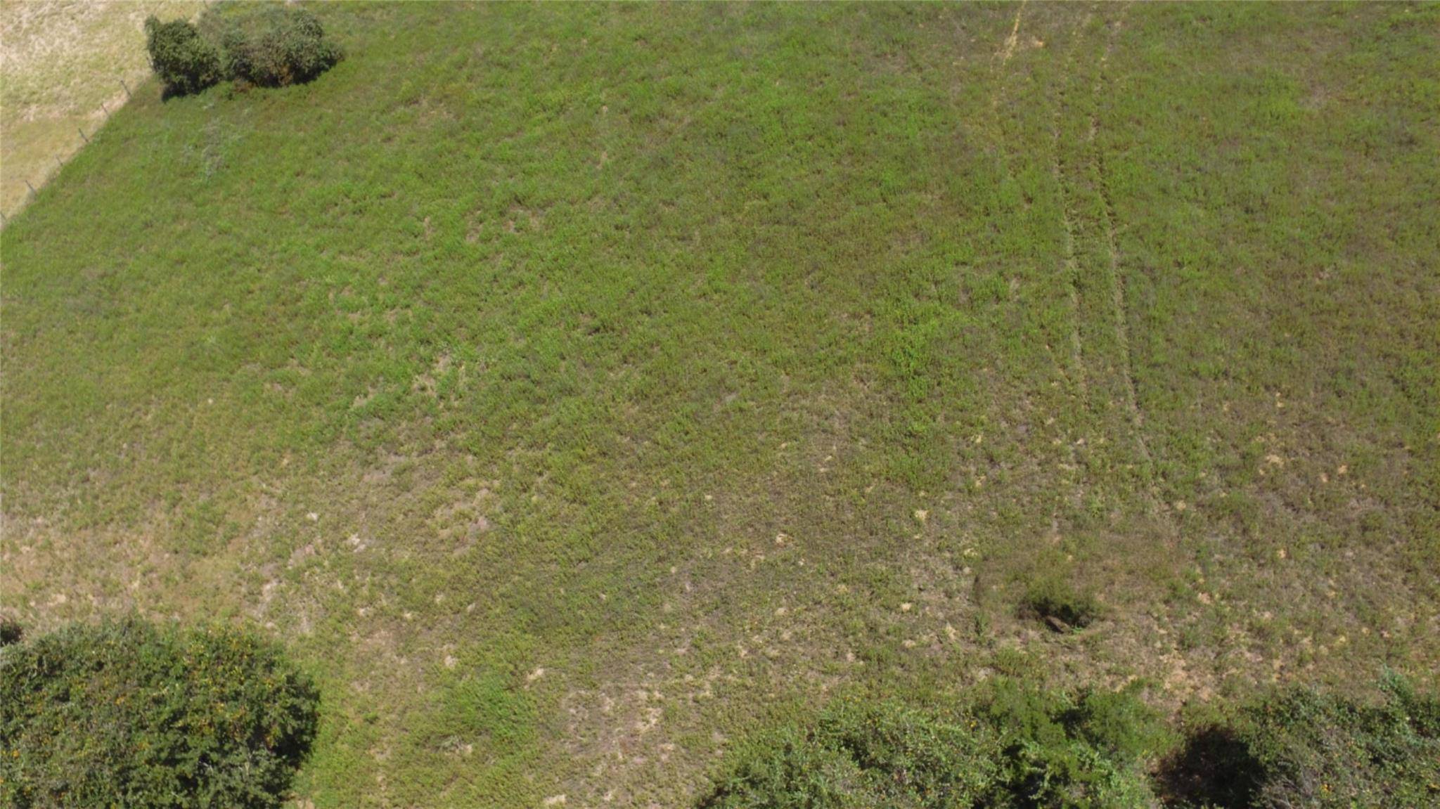 0000 County Road 238A RD, Cameron, TX 76520