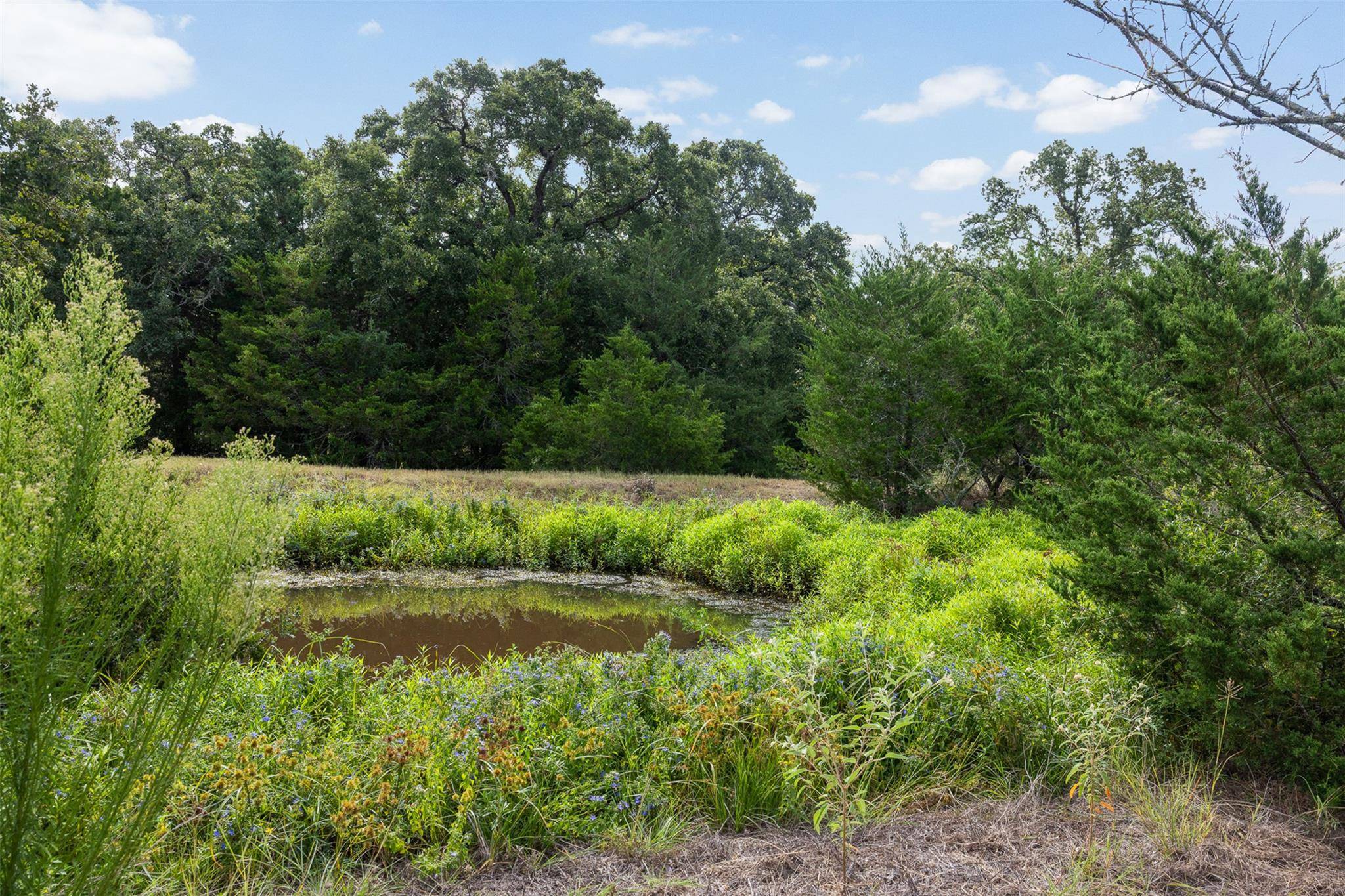 3555 County Road 430, Dime Box, TX 77853