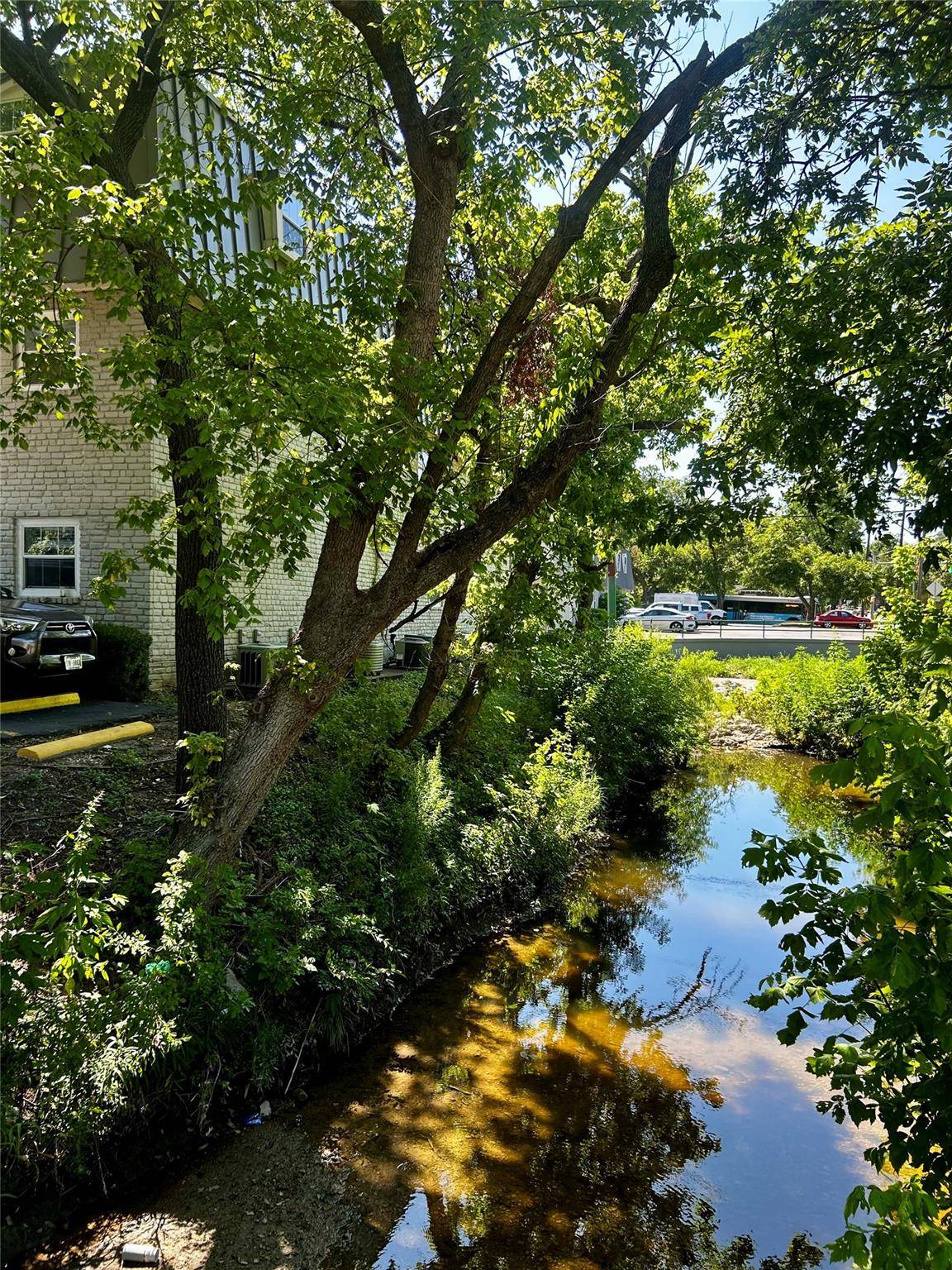 4410 Avenue F #211, Austin, TX 78751