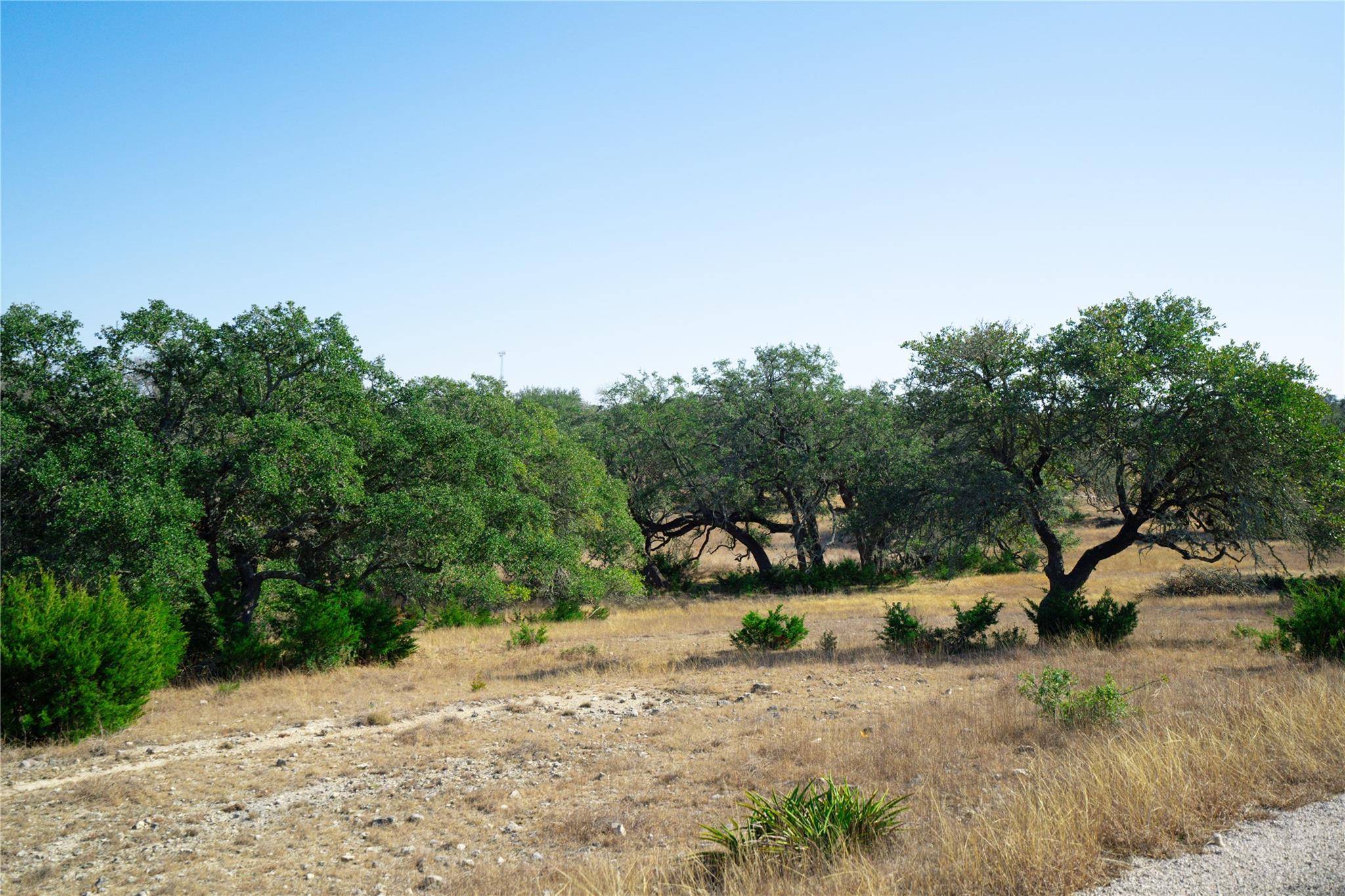 101 Mystic Overlook DR, Dripping Springs, TX 78620