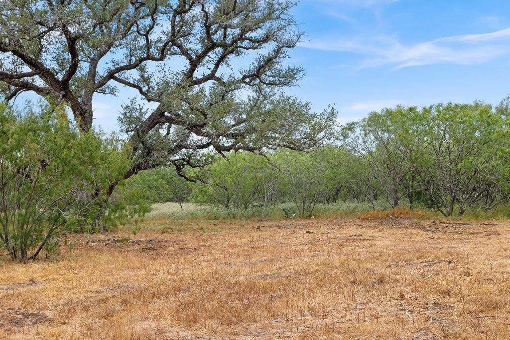 TBD CR 171, Nixon, TX 78140