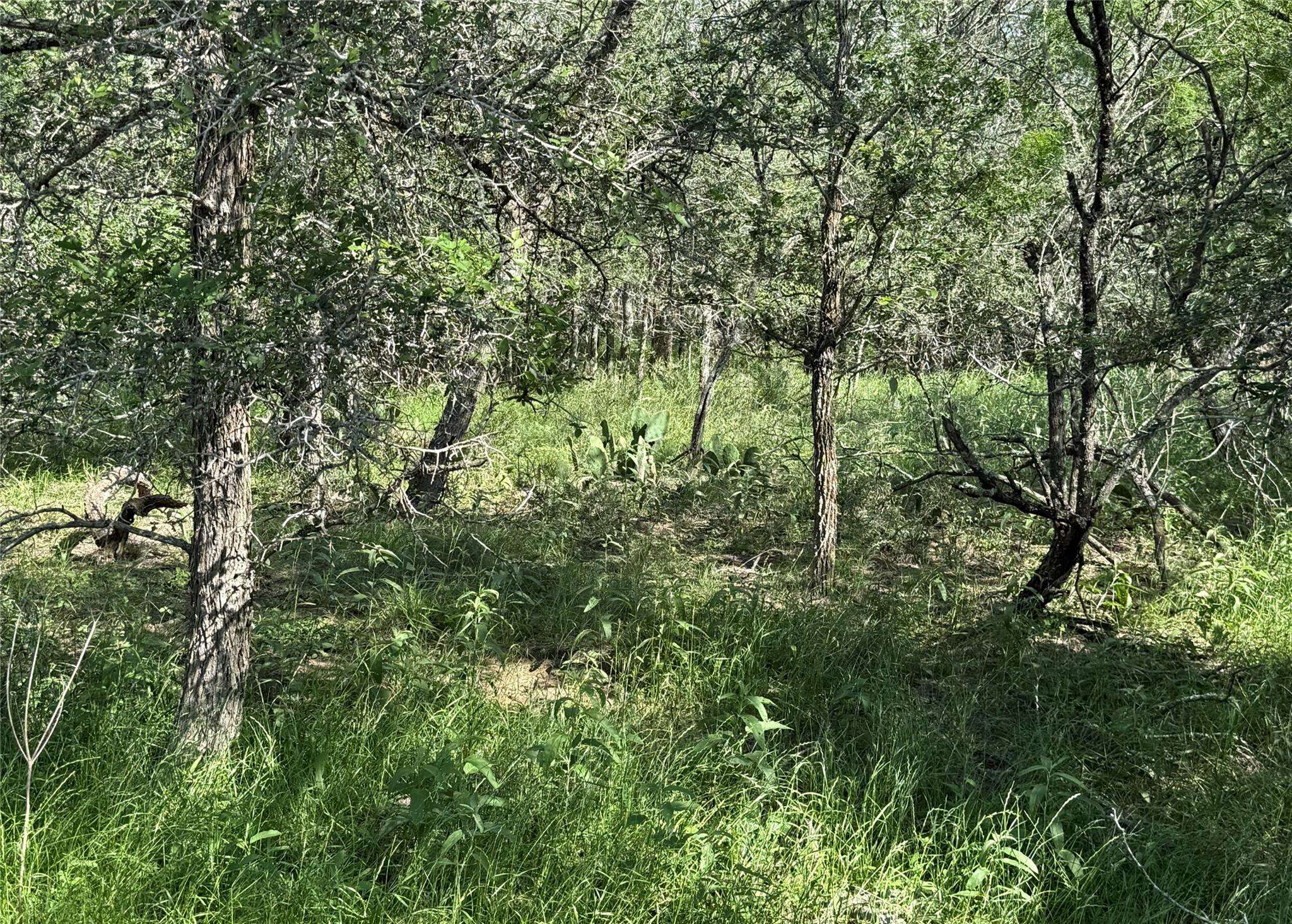 232 Mokulua LN, Bastrop, TX 78602