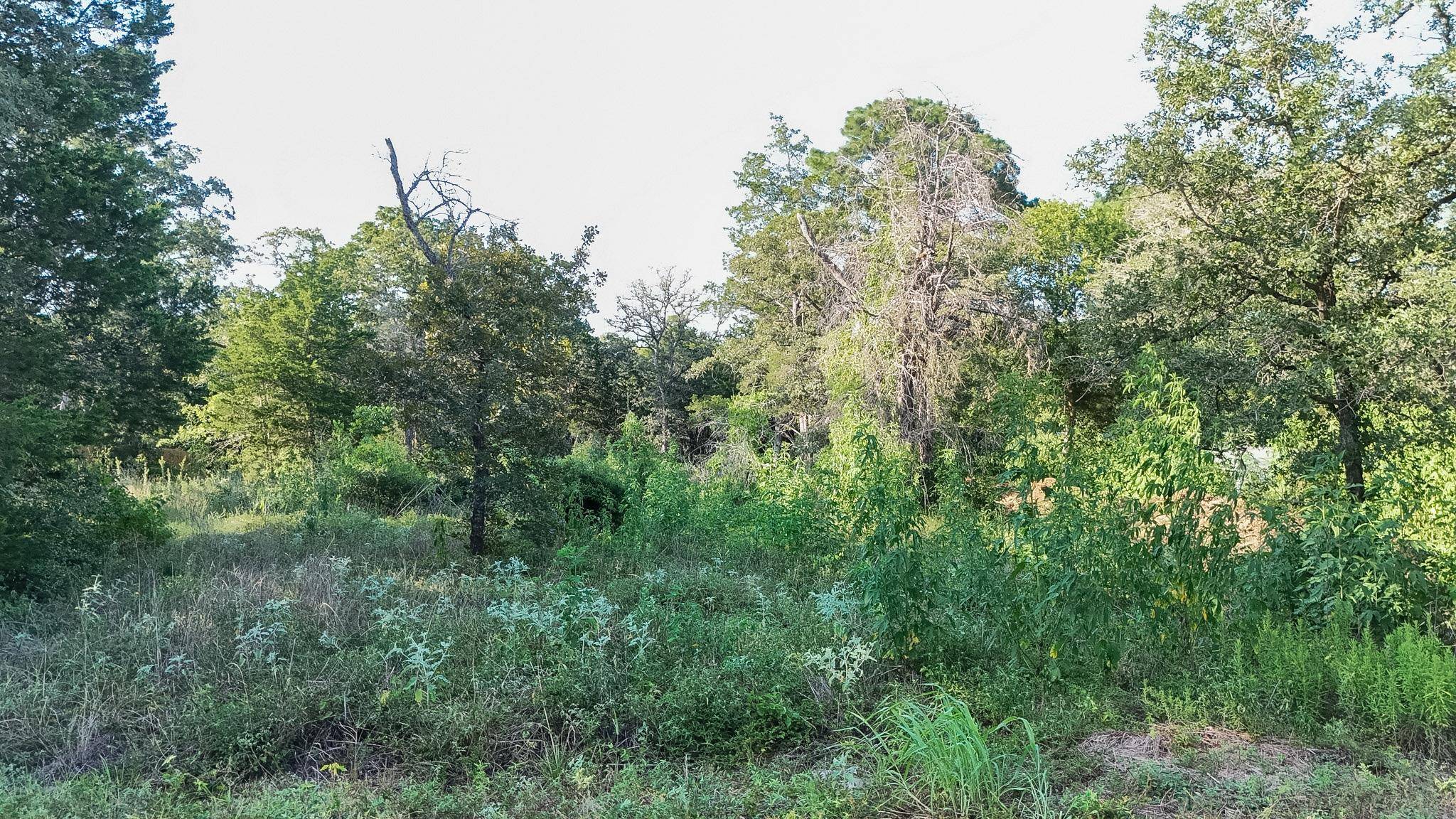 000 Flint Ridge ST, Bastrop, TX 78602