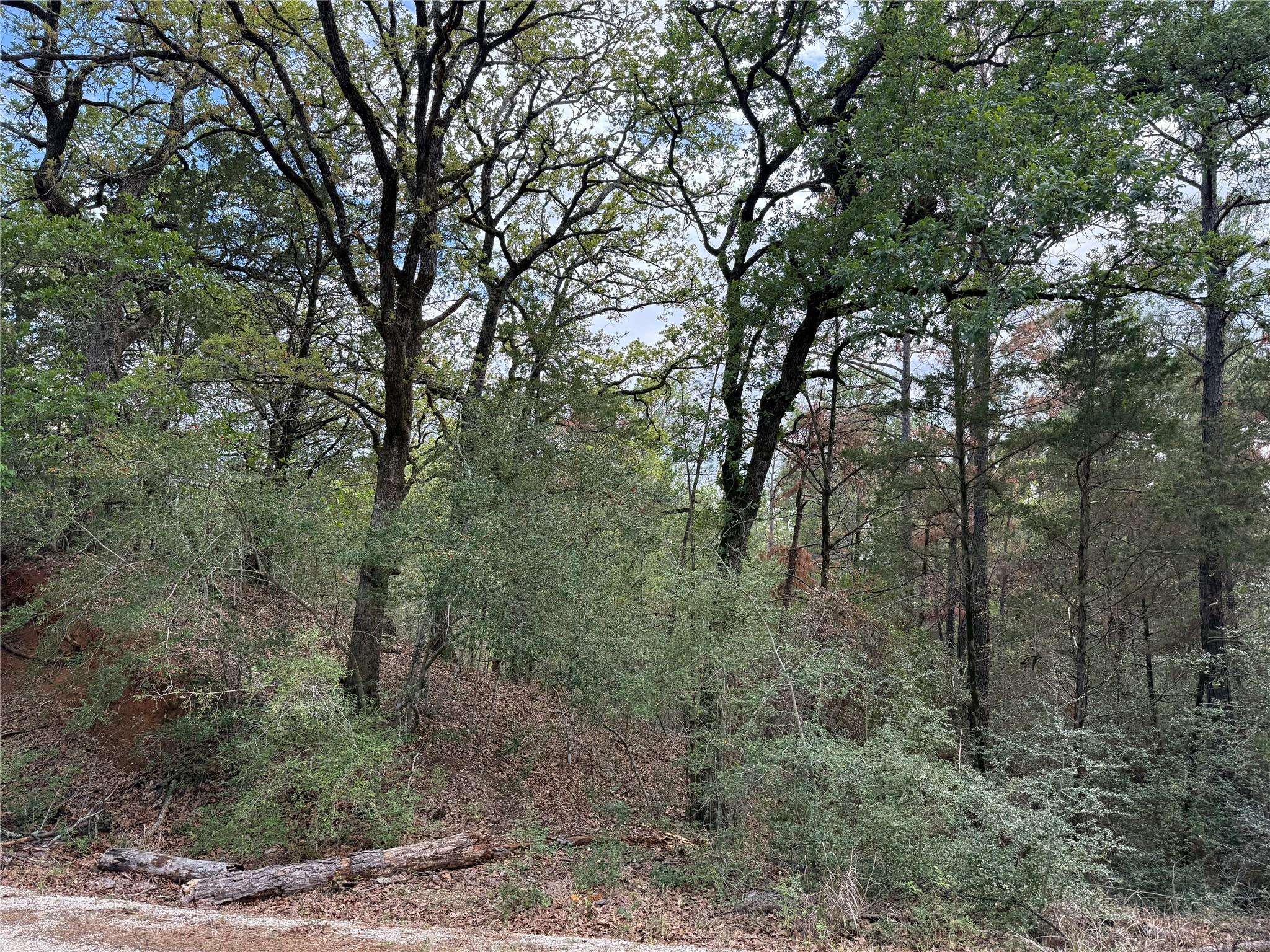 125 Lamaloa LN, Bastrop, TX 78602