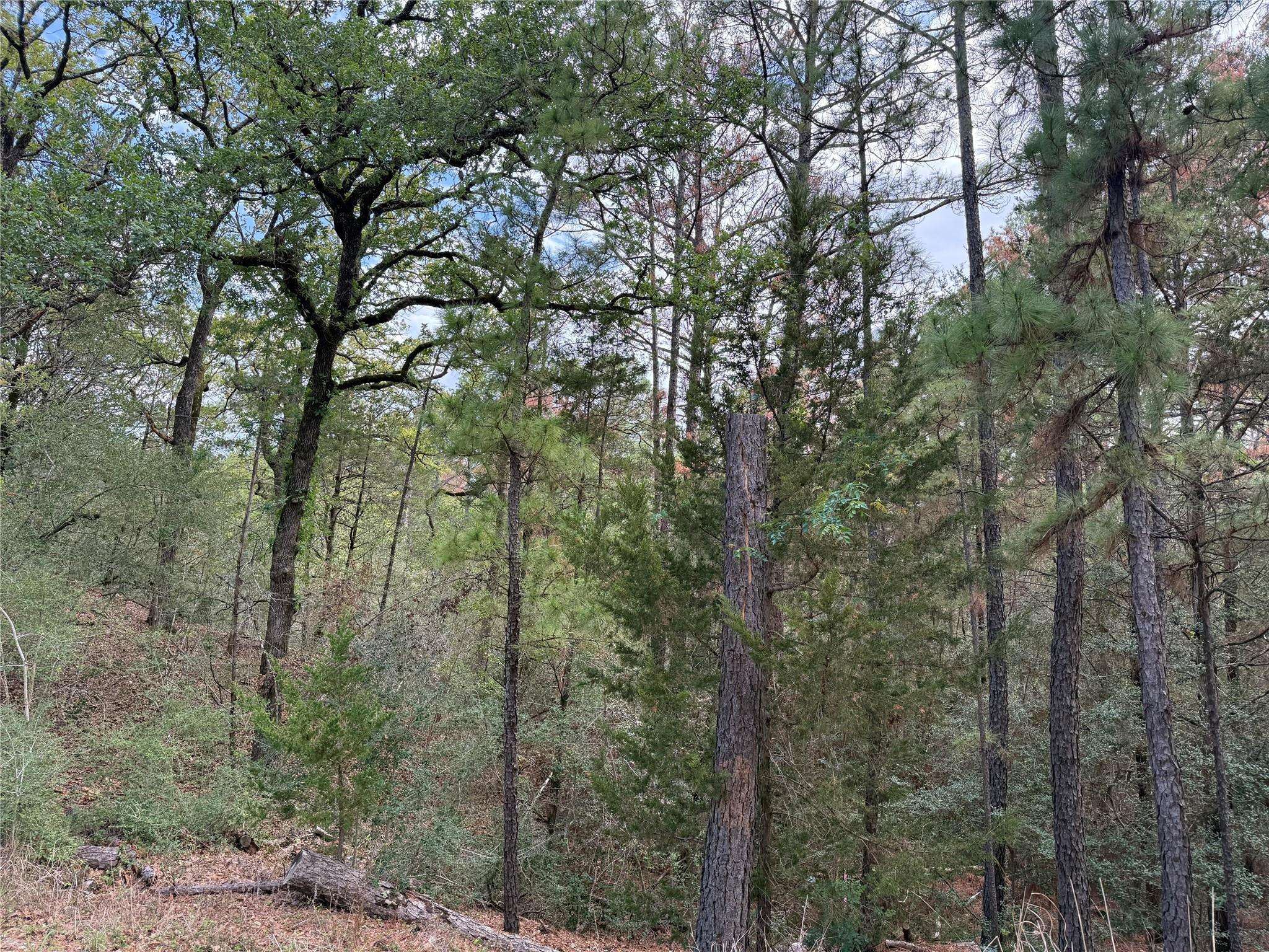 125 Lamaloa LN, Bastrop, TX 78602
