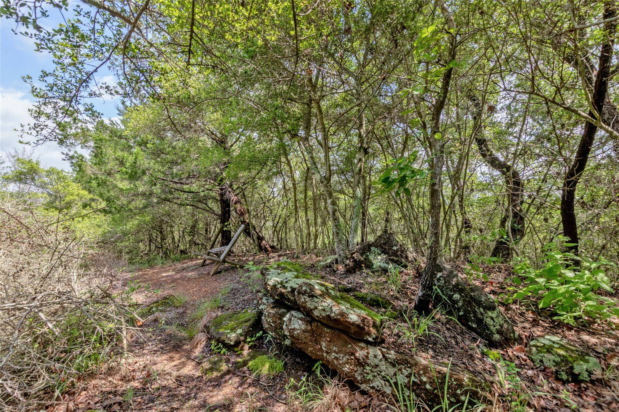 9997 Calhoun RD, Bryan, TX 77808