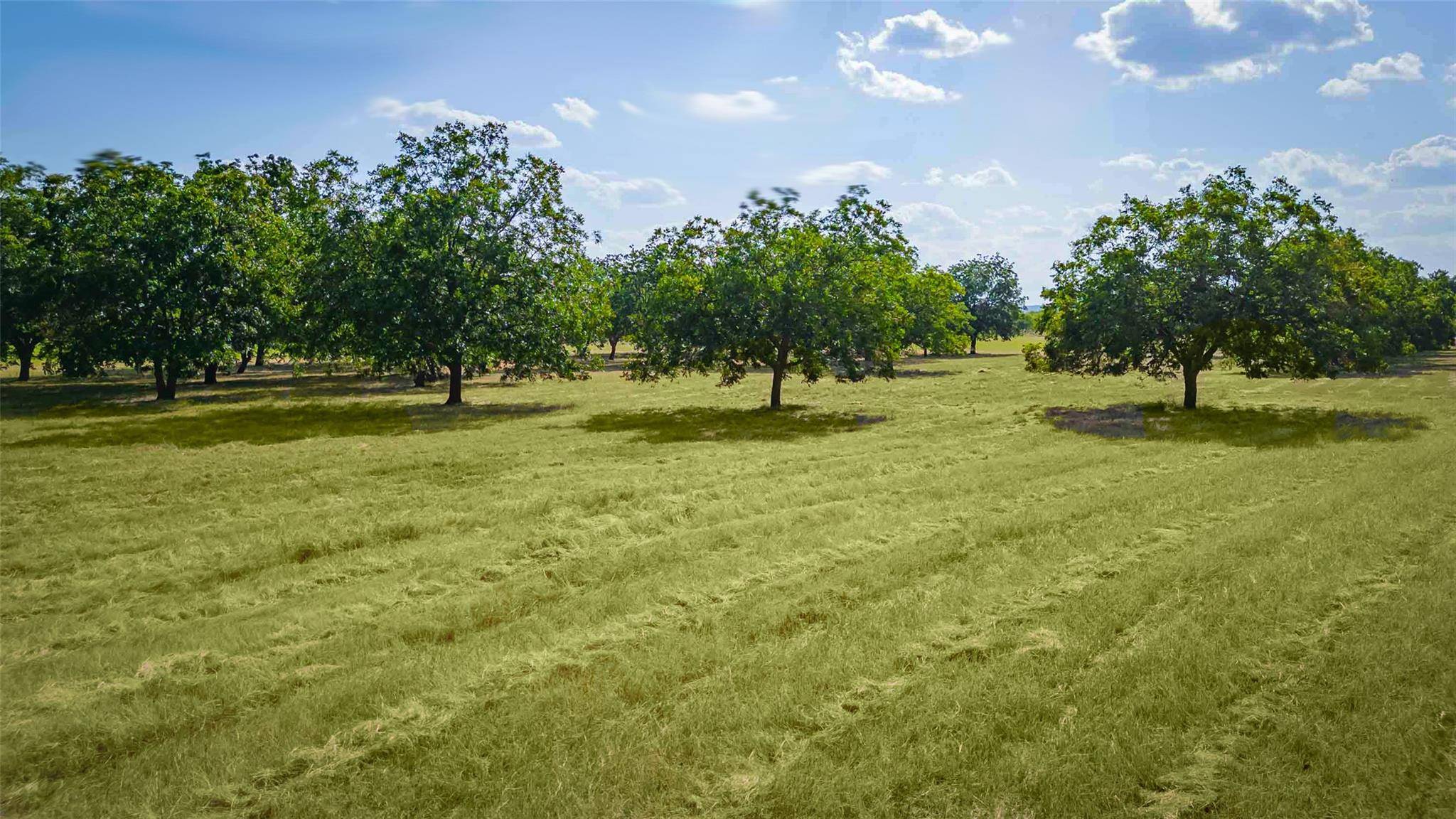 95 Loma LN, Fredericksburg, TX 78739