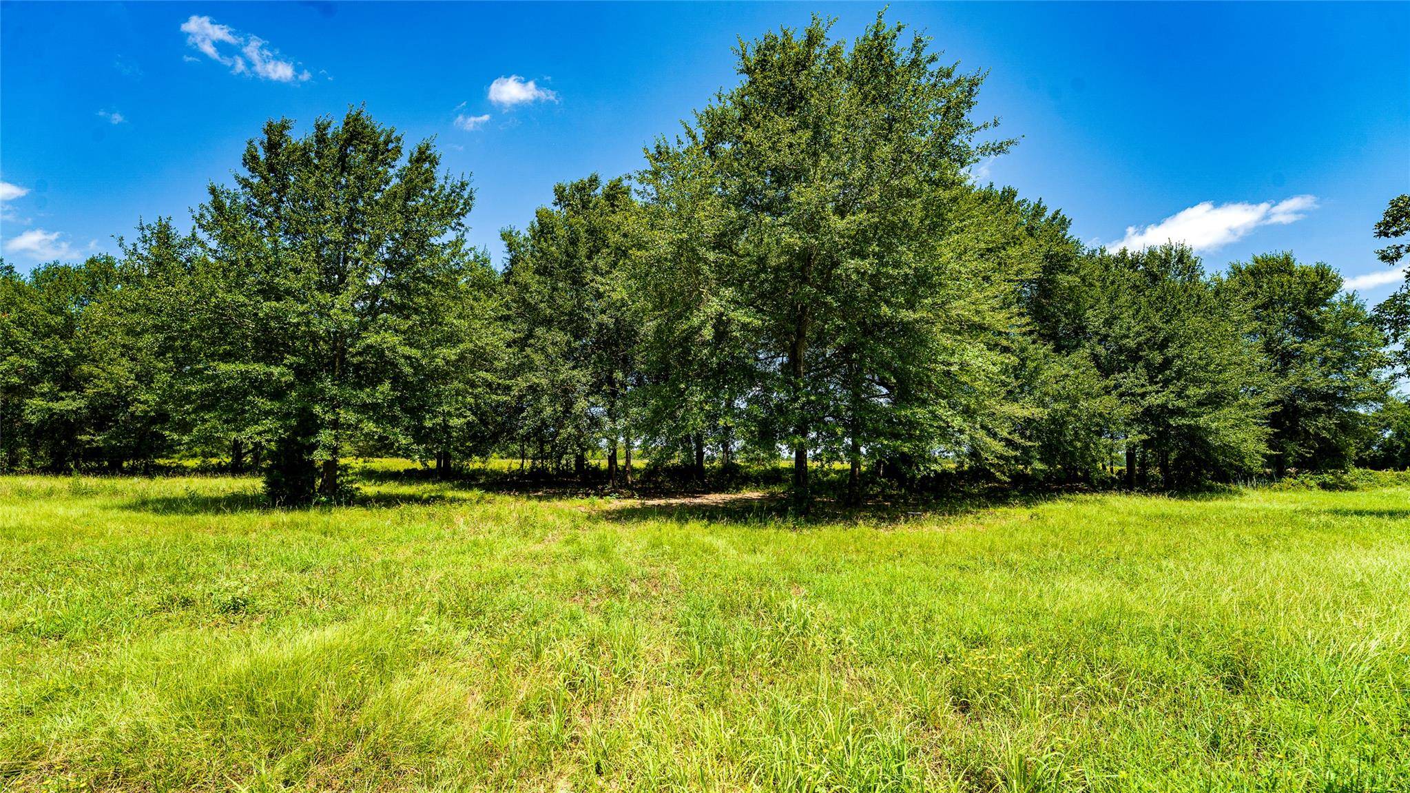 TBD CR 357, Gause, TX 77857