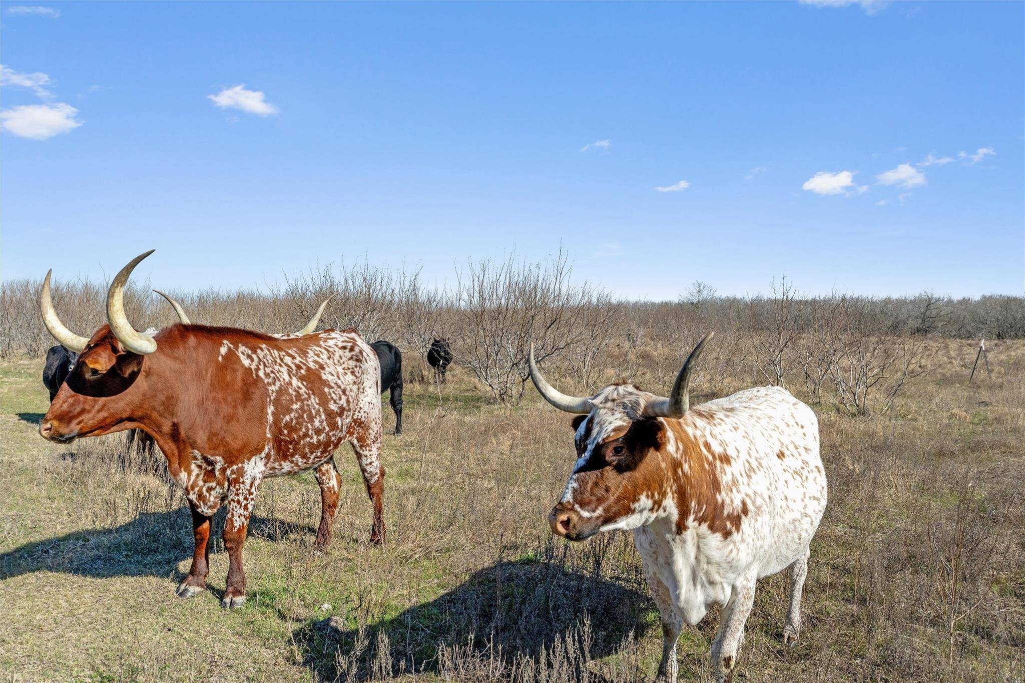 0 Rolling Ridge RD, Lockhart, TX 78644