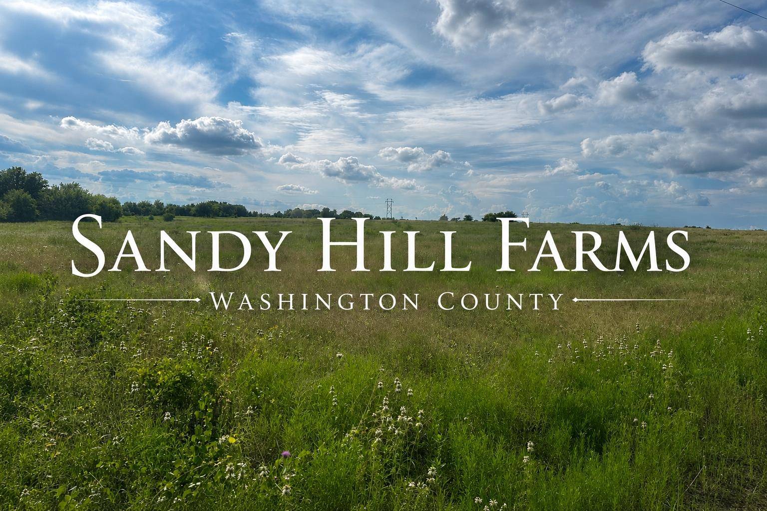 TRACT 3 Randermann Rd RD, Brenham, TX 77833